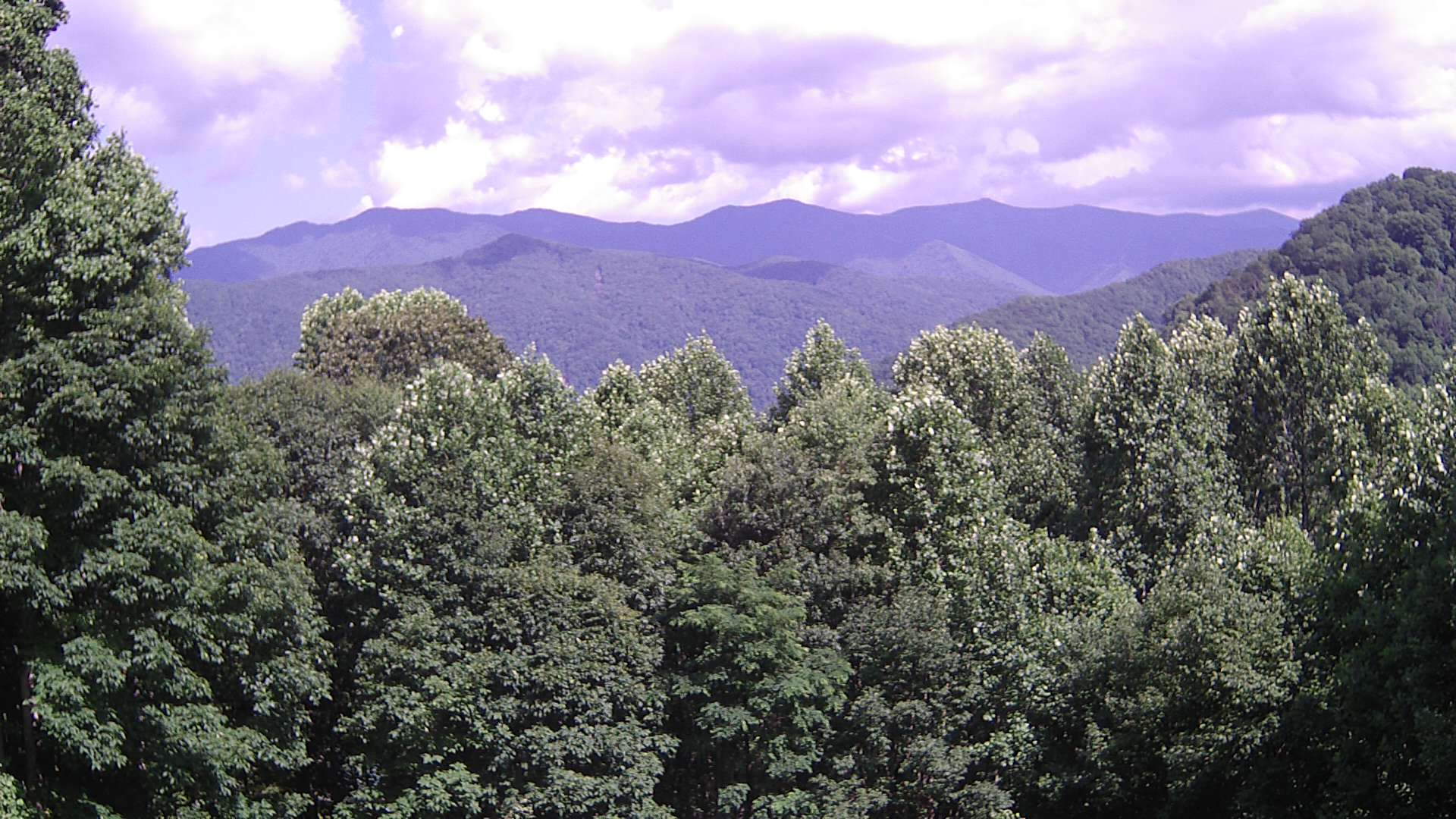 click for next image... slideshow image