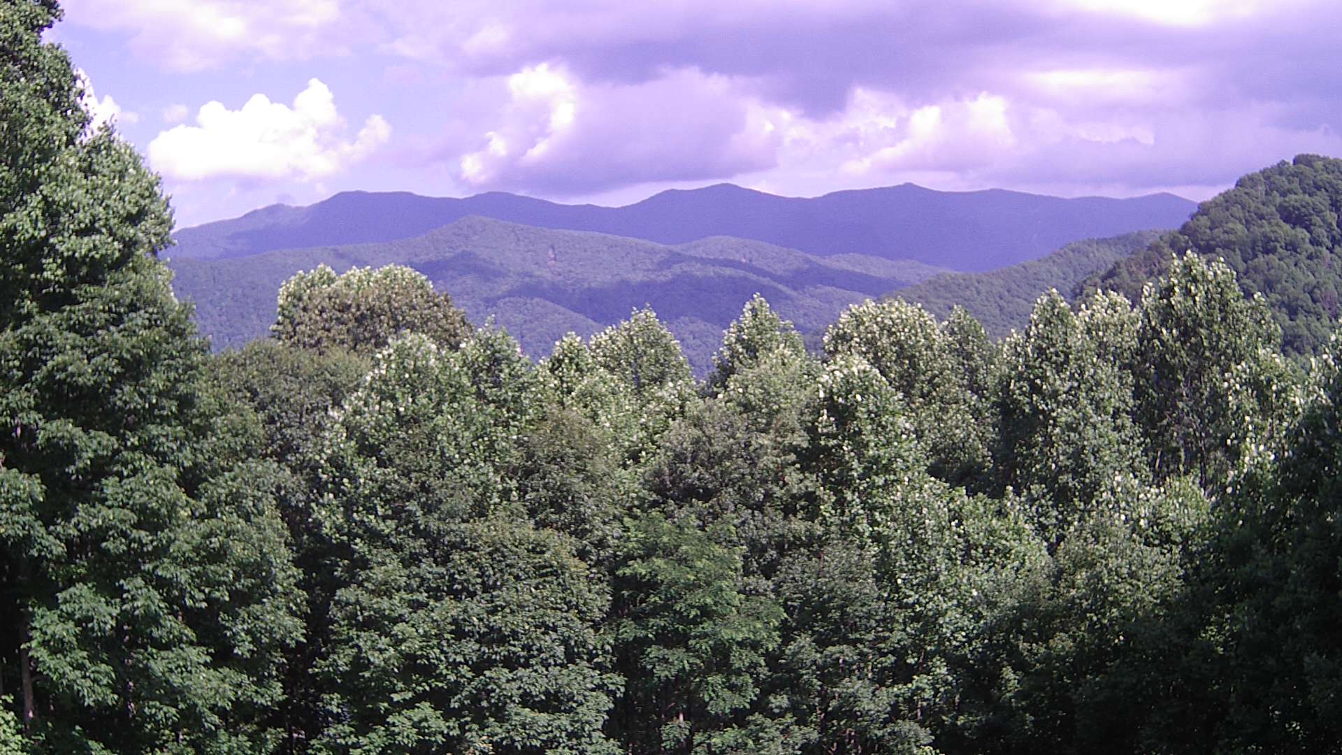 click for next image... slideshow image