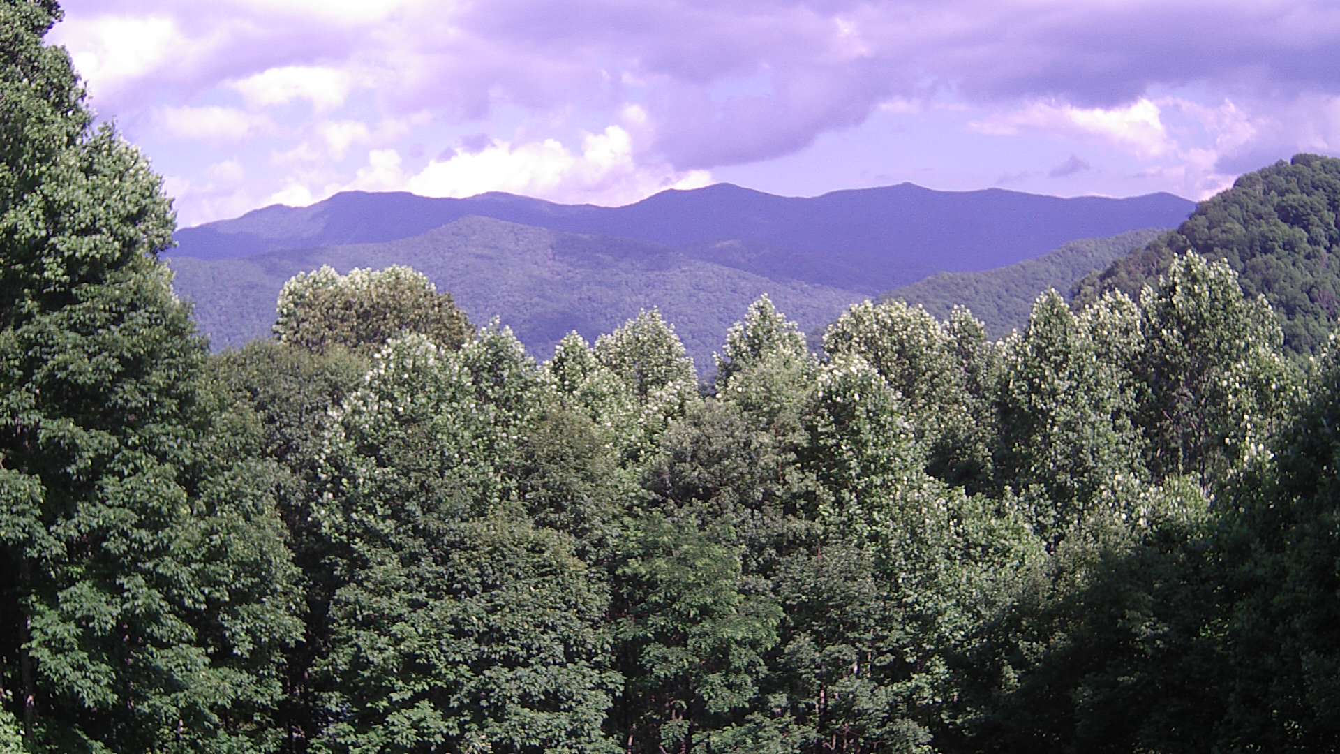 click for next image... slideshow image