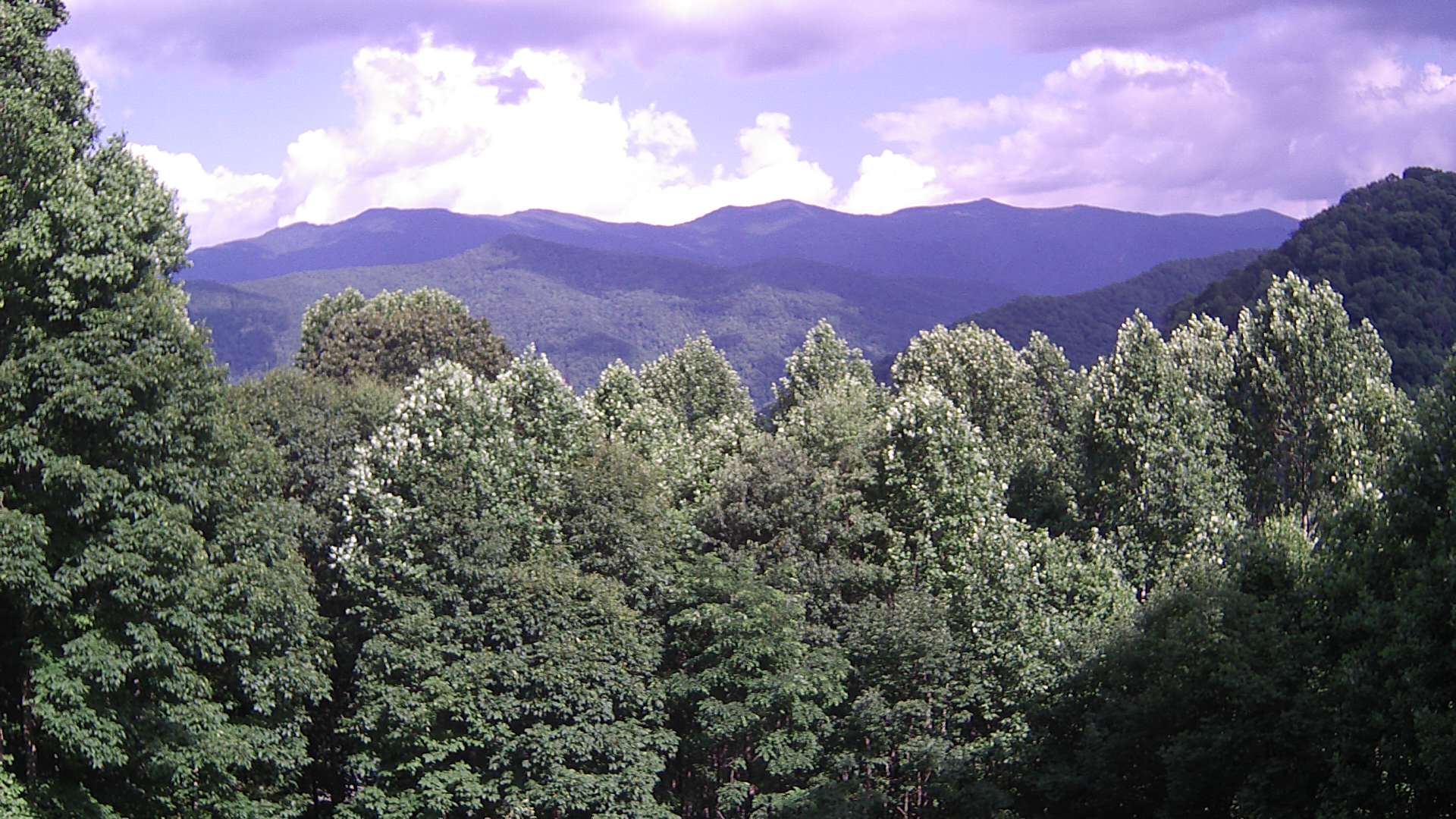 click for next image... slideshow image