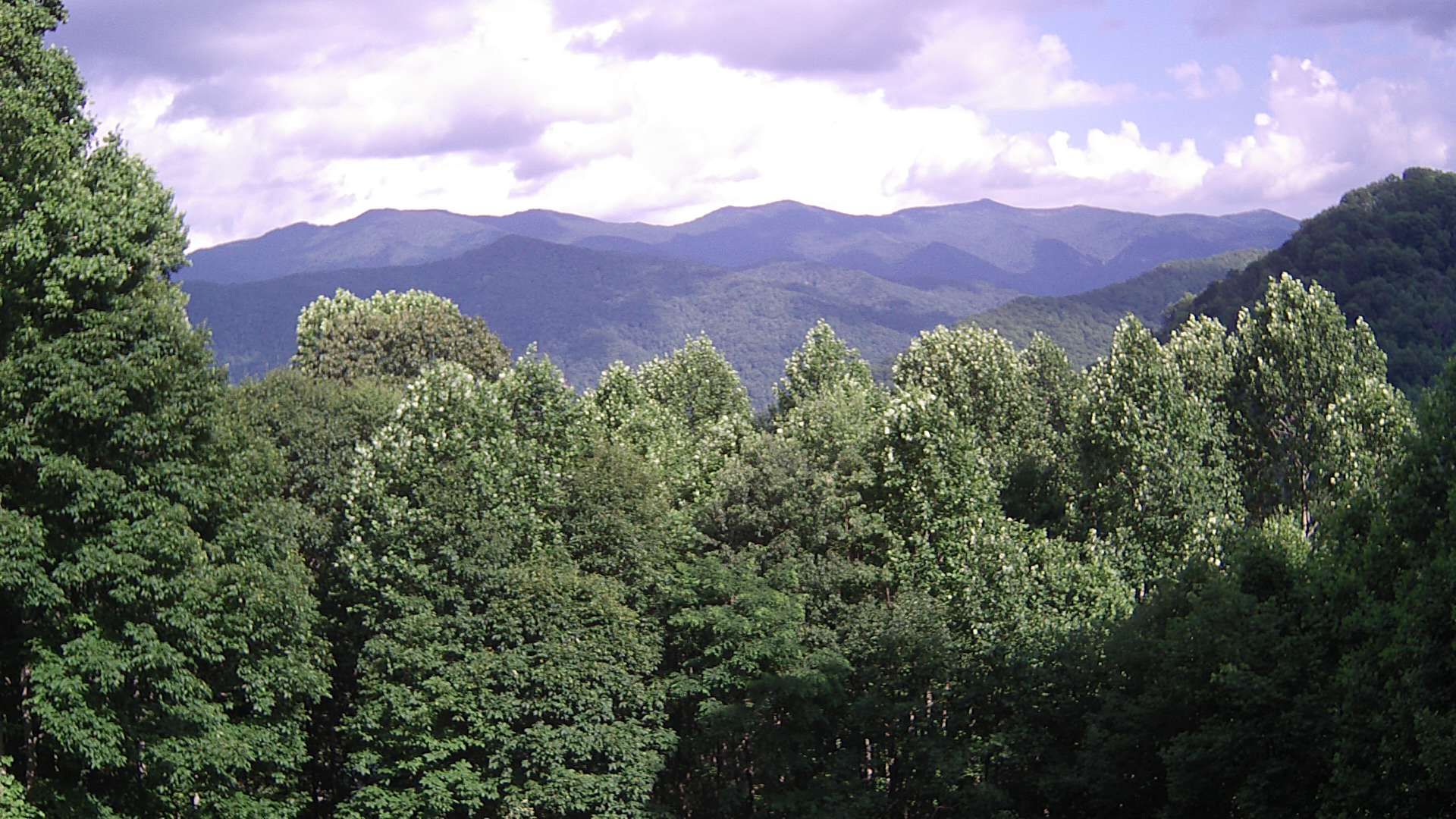 click for next image... slideshow image