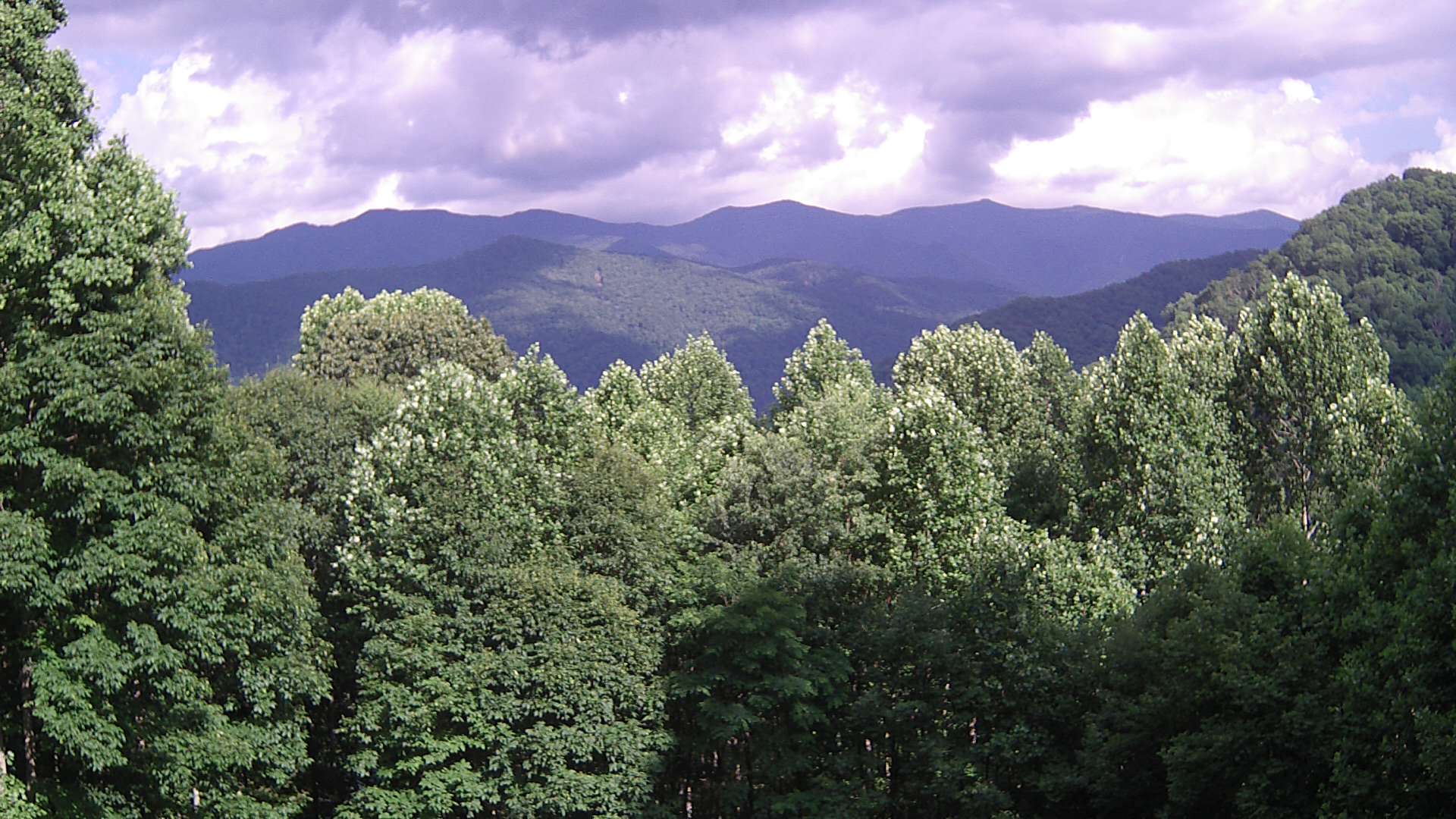 click for next image... slideshow image