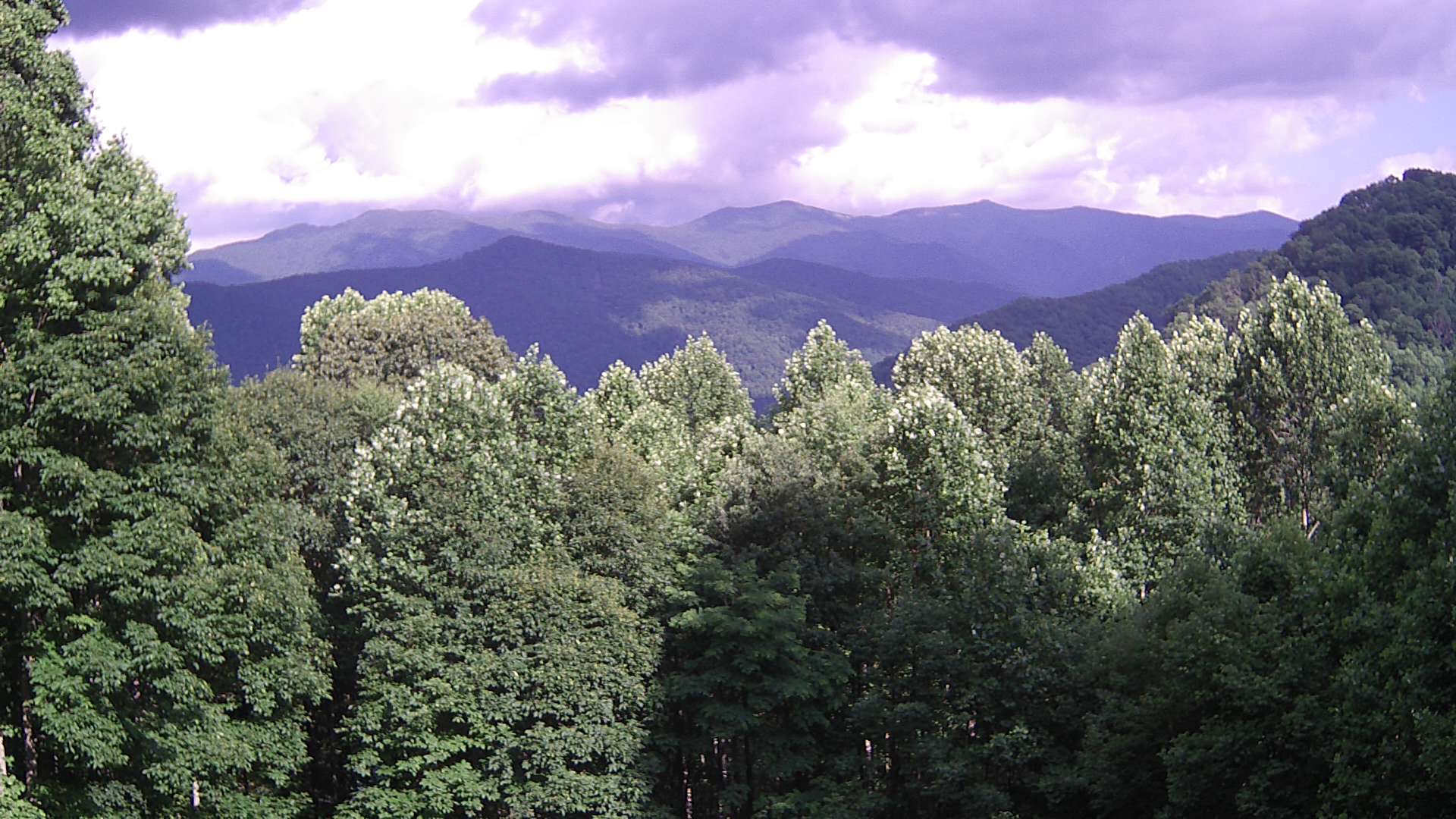 click for next image... slideshow image