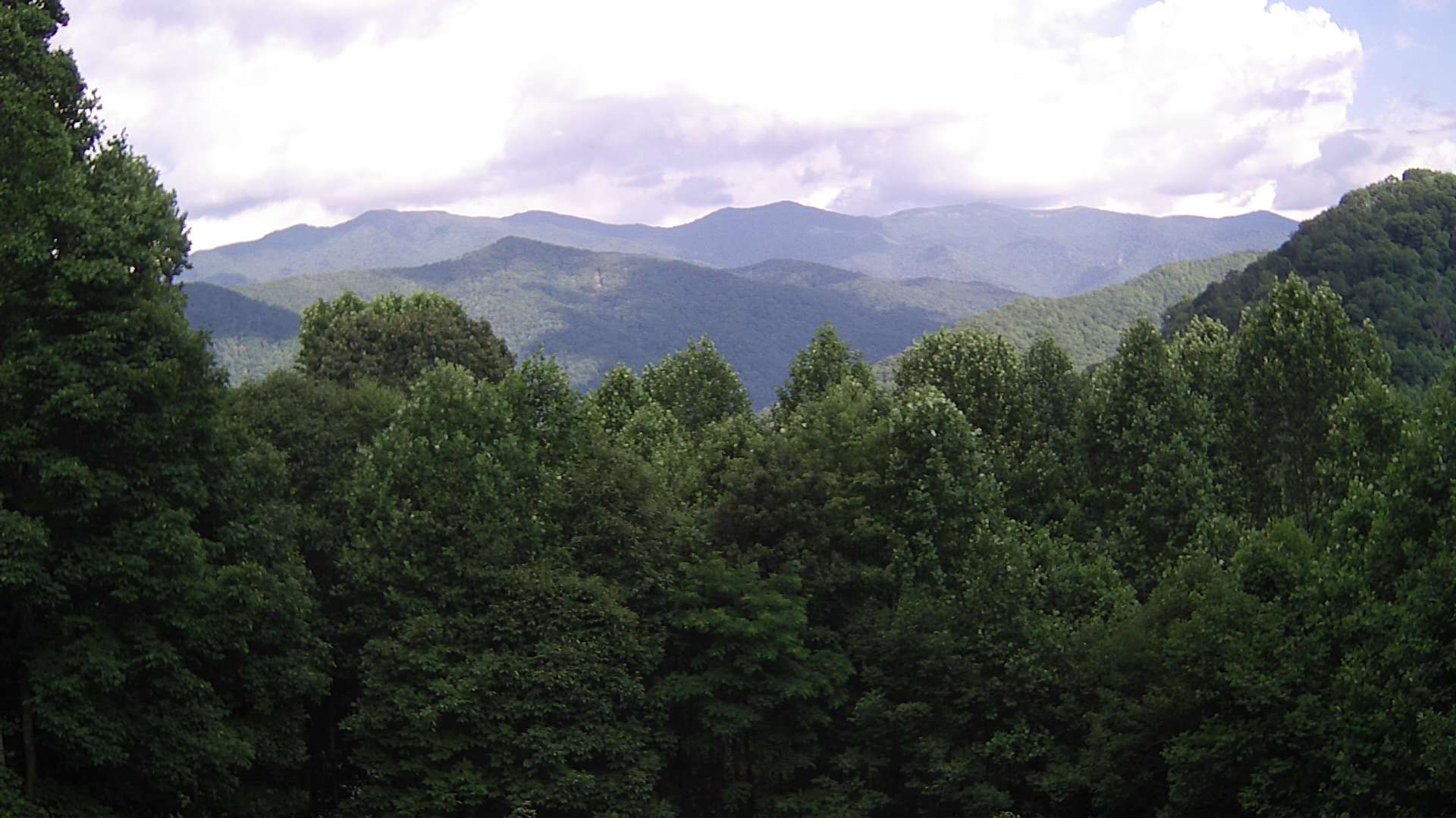 click for next image... slideshow image