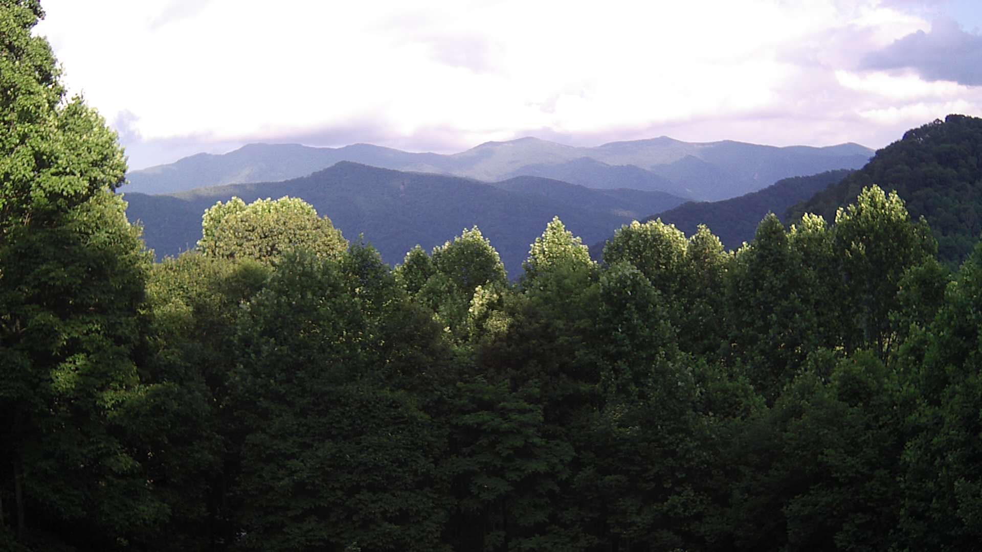 click for next image... slideshow image