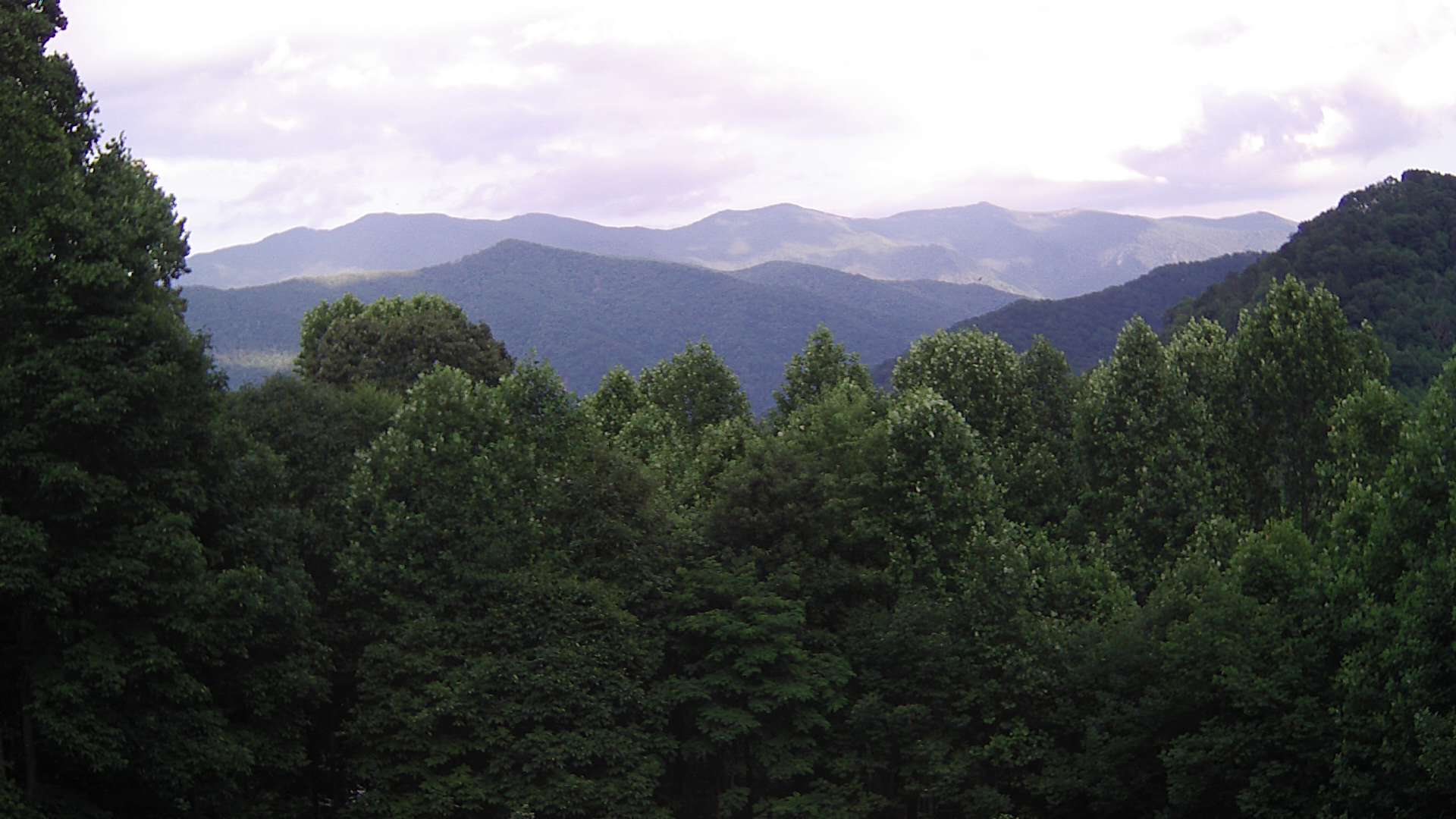 click for next image... slideshow image