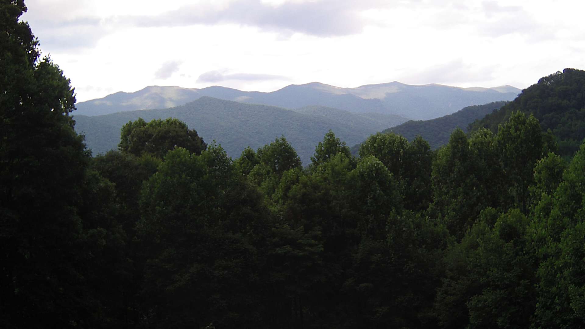 click for next image... slideshow image