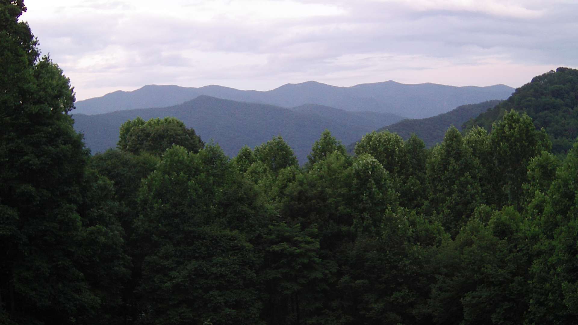 click for next image... slideshow image