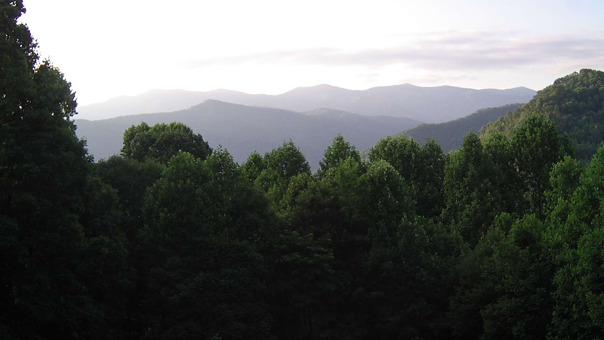 click for next image... slideshow image