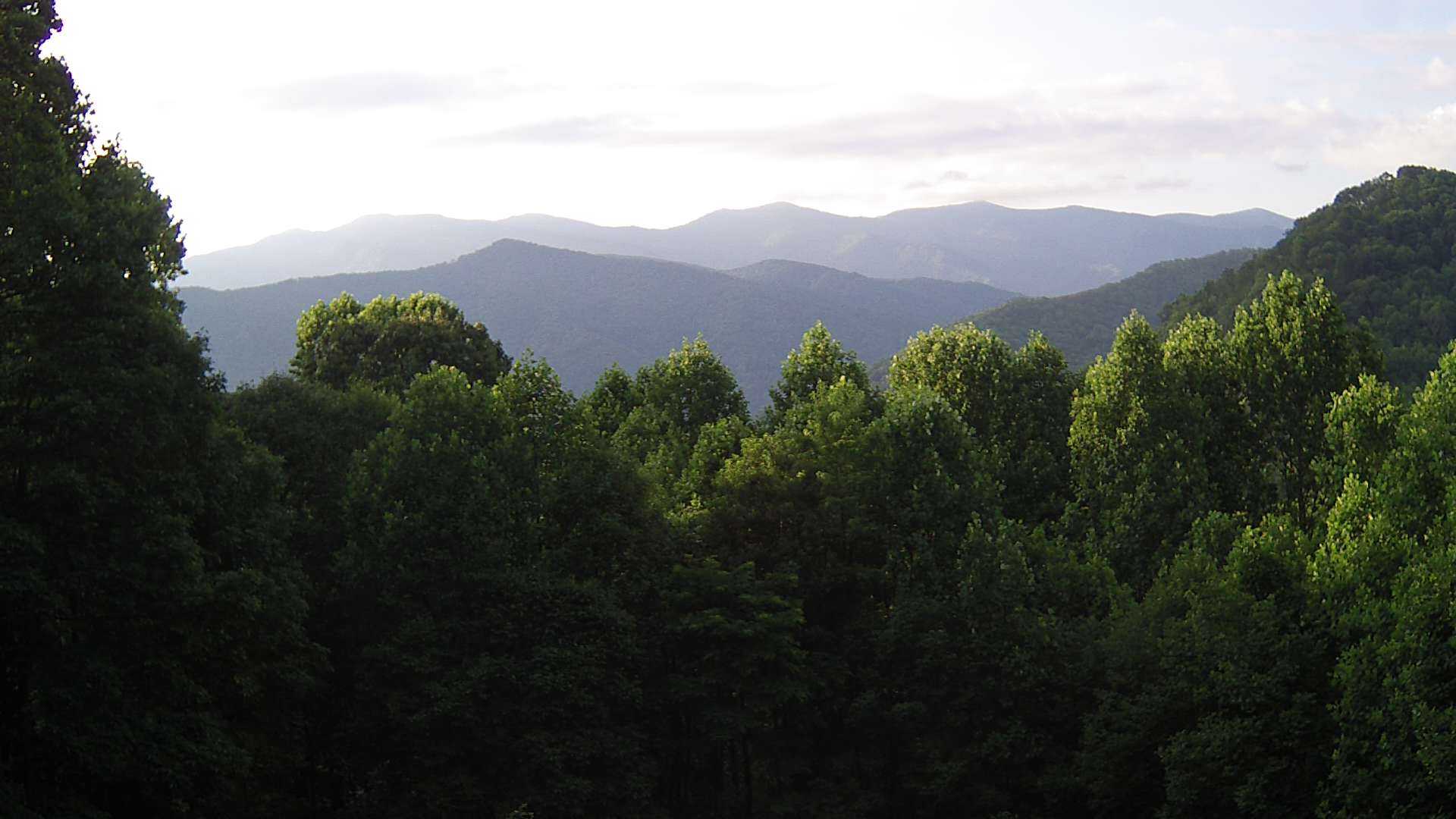 click for next image... slideshow image