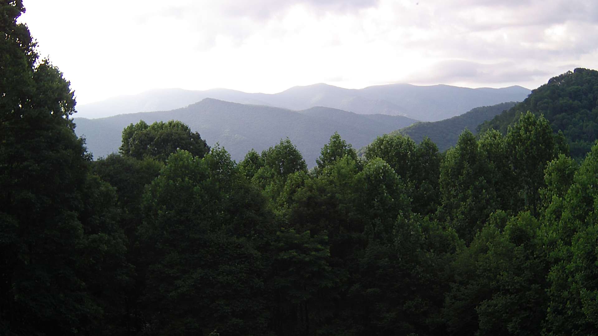 click for next image... slideshow image