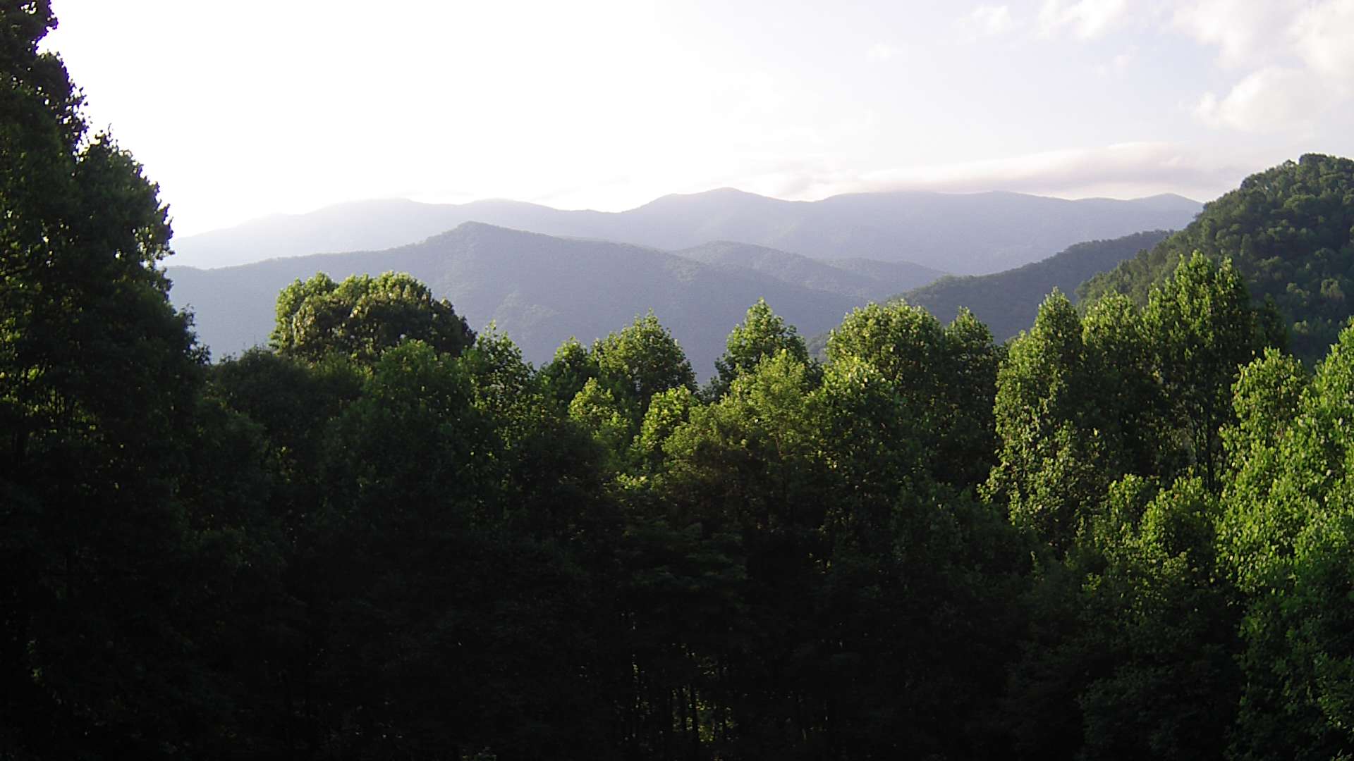 click for next image... slideshow image