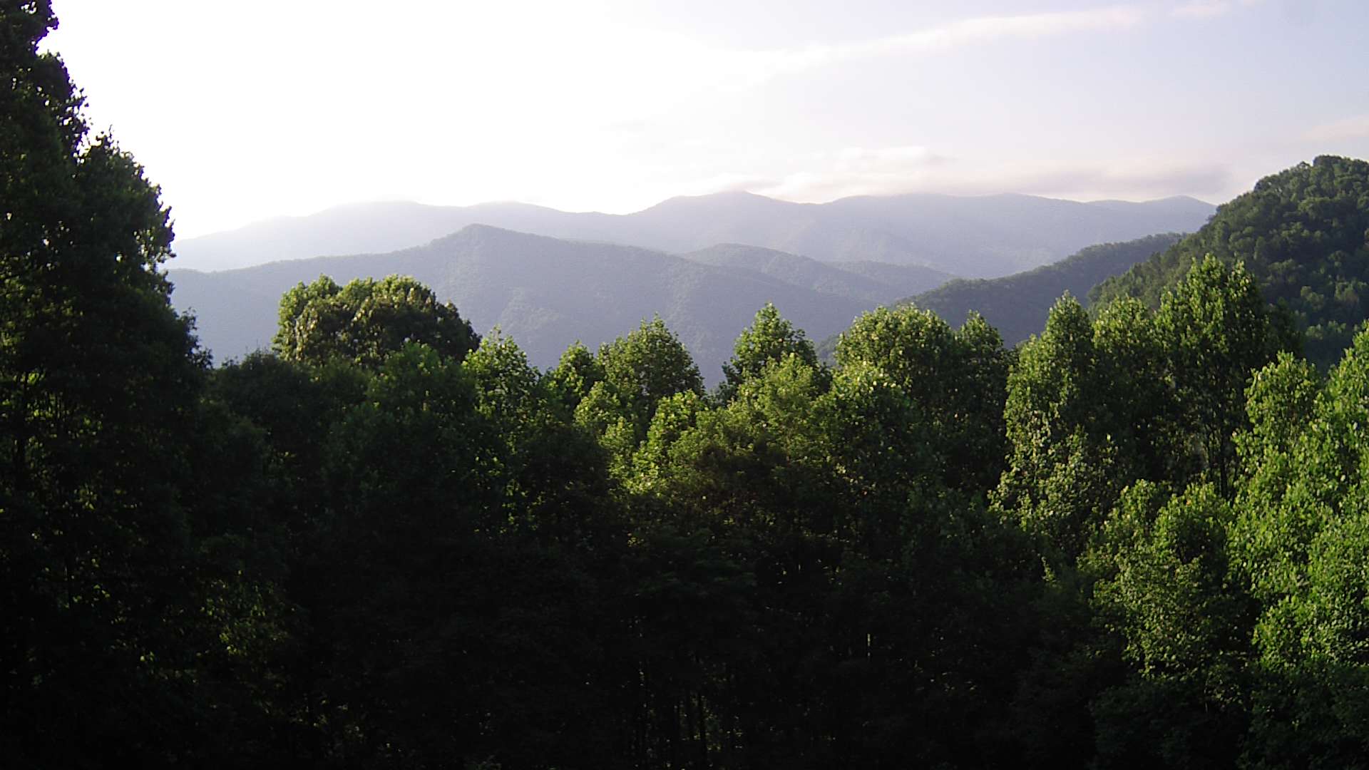 click for next image... slideshow image