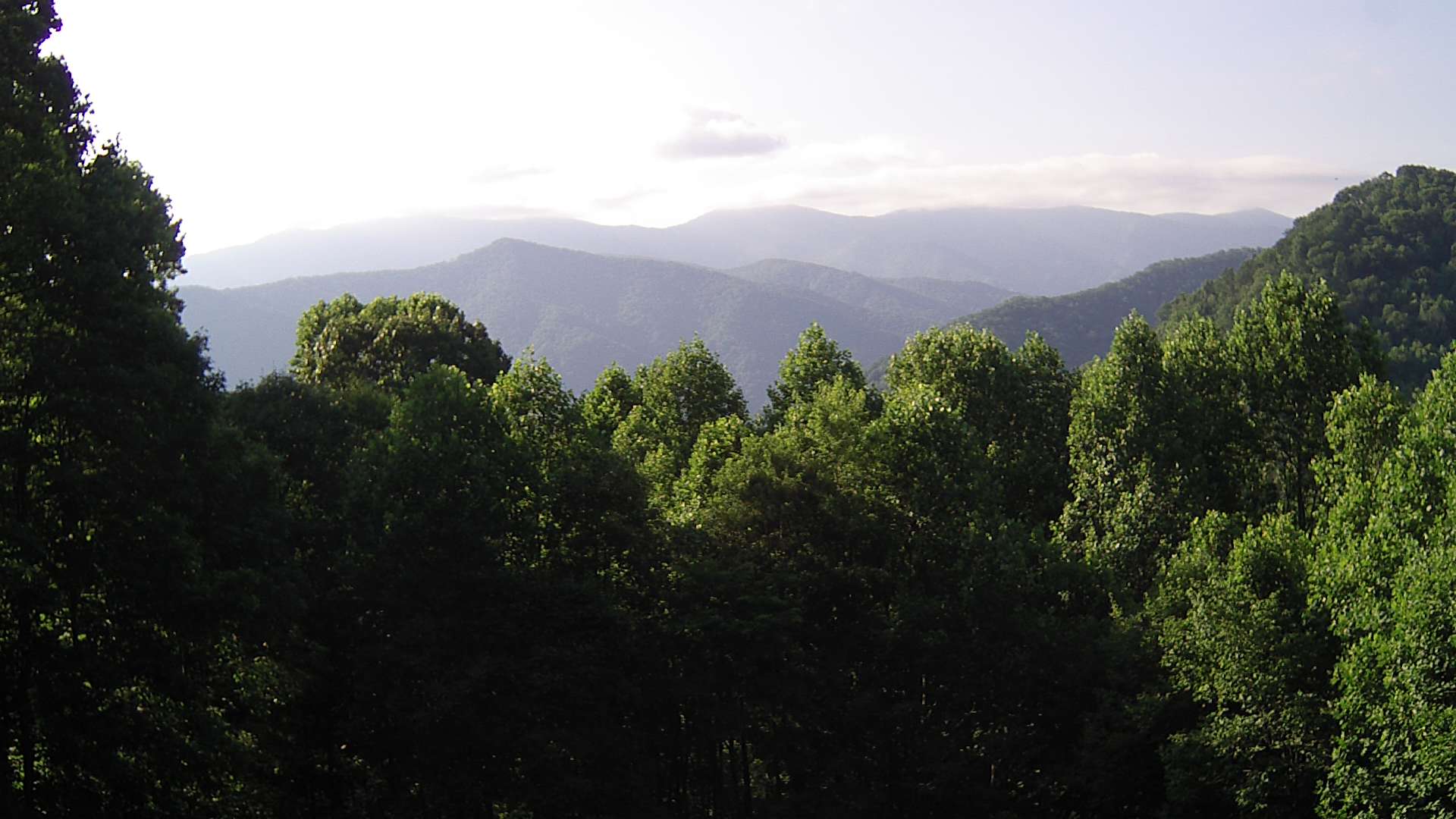 click for next image... slideshow image