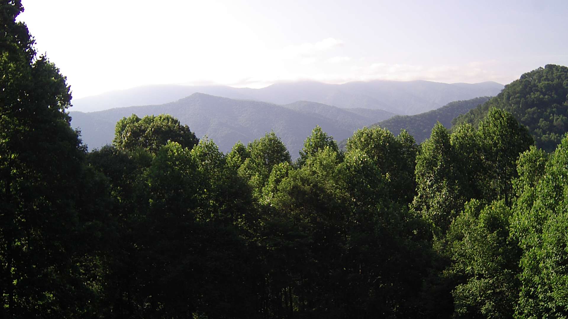 click for next image... slideshow image