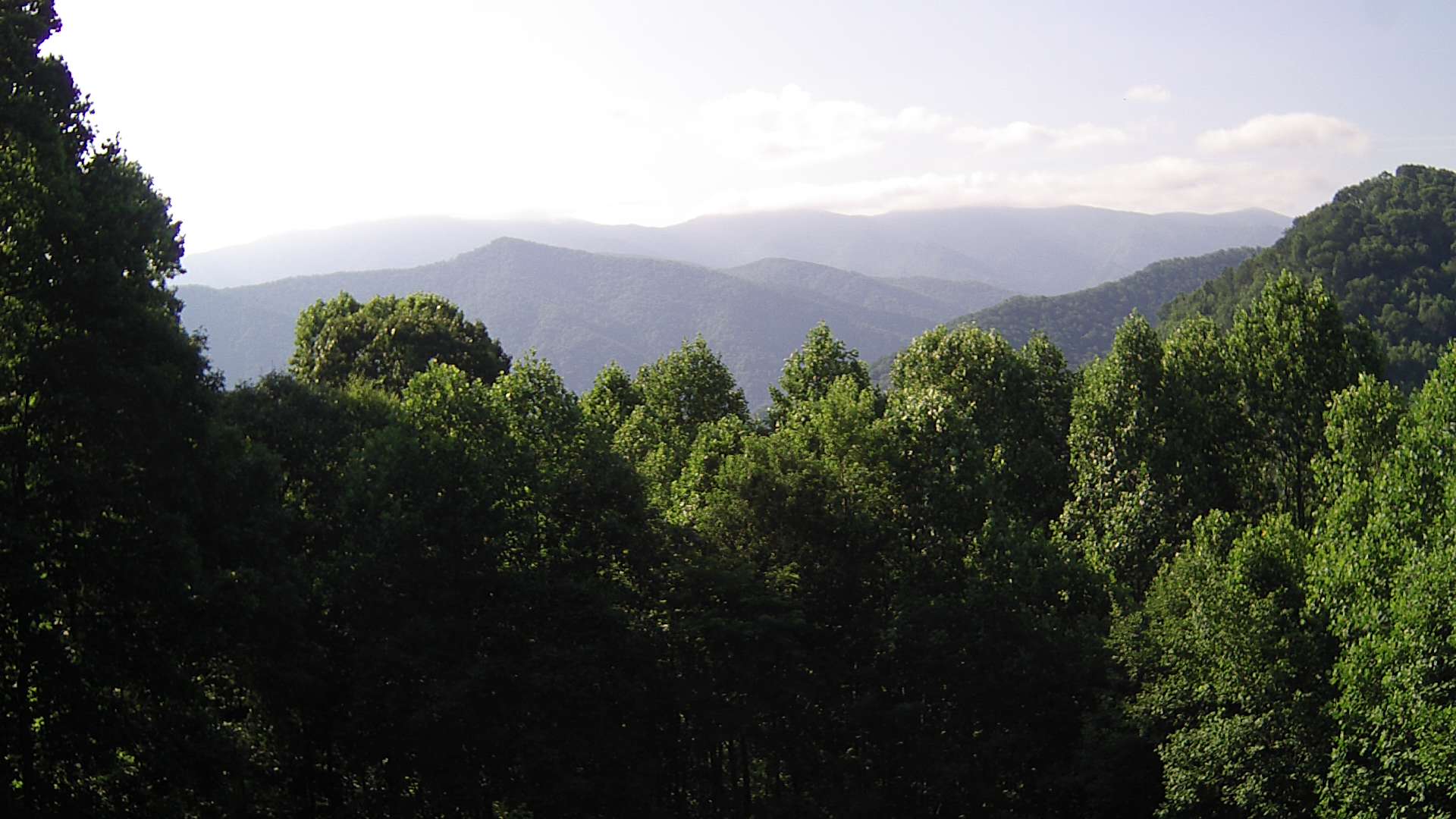 click for next image... slideshow image