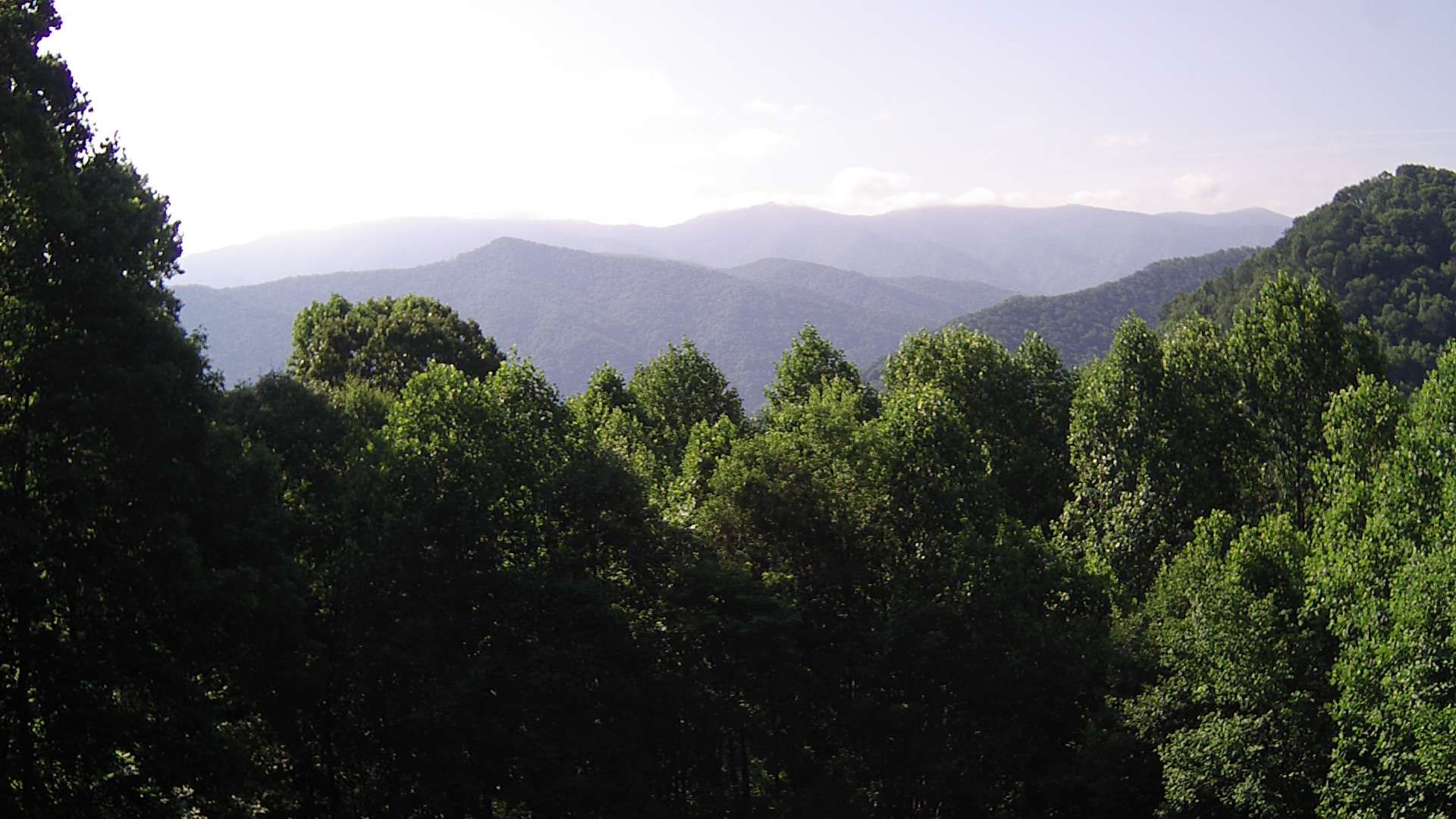 click for next image... slideshow image