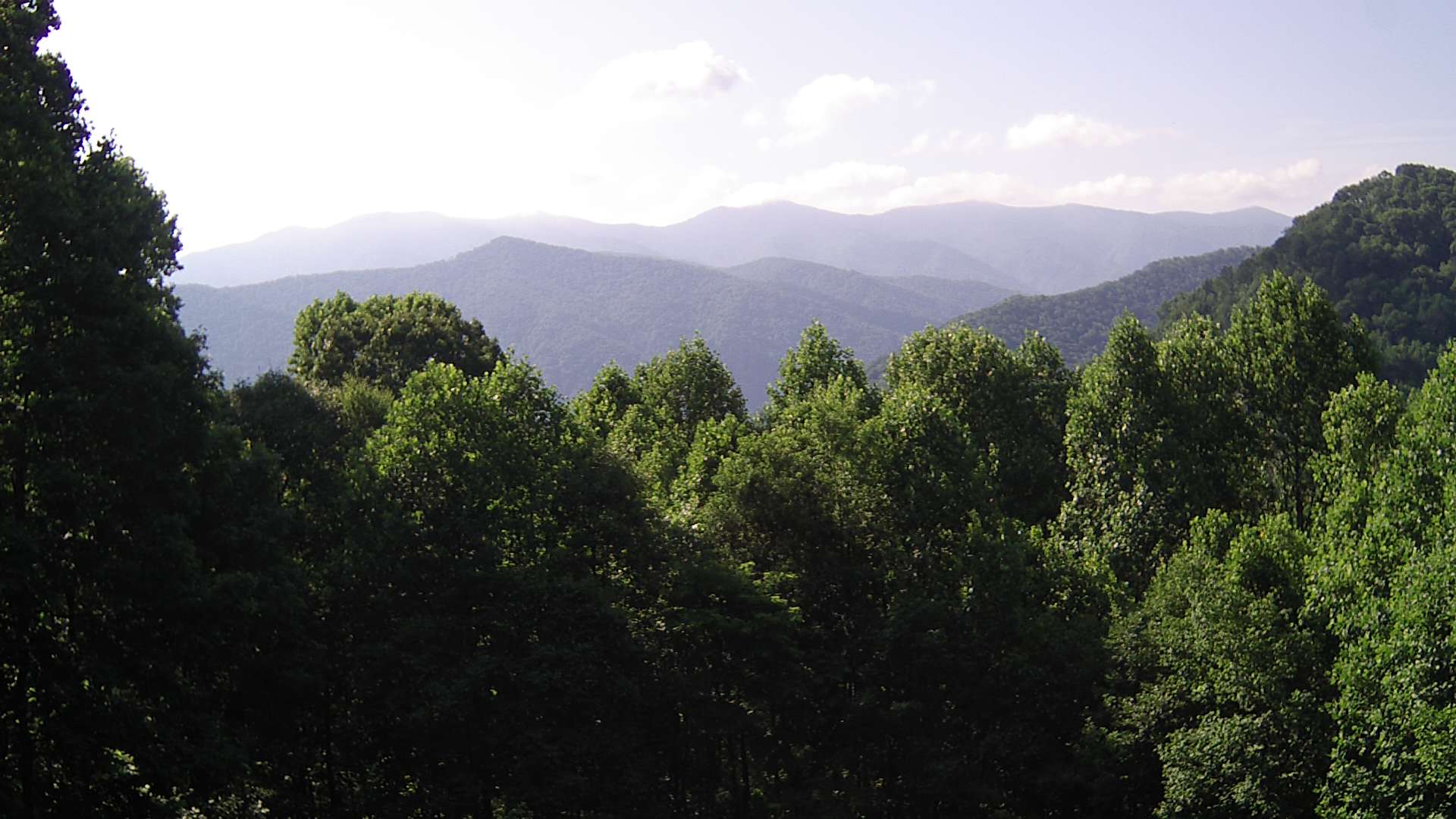 click for next image... slideshow image