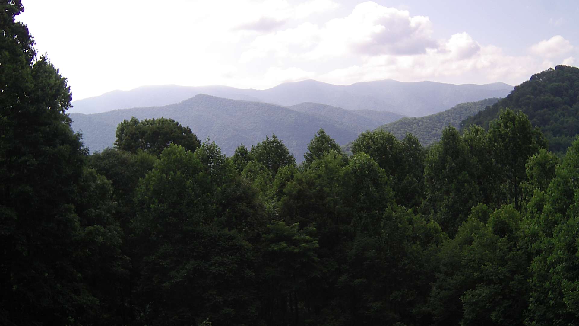 click for next image... slideshow image