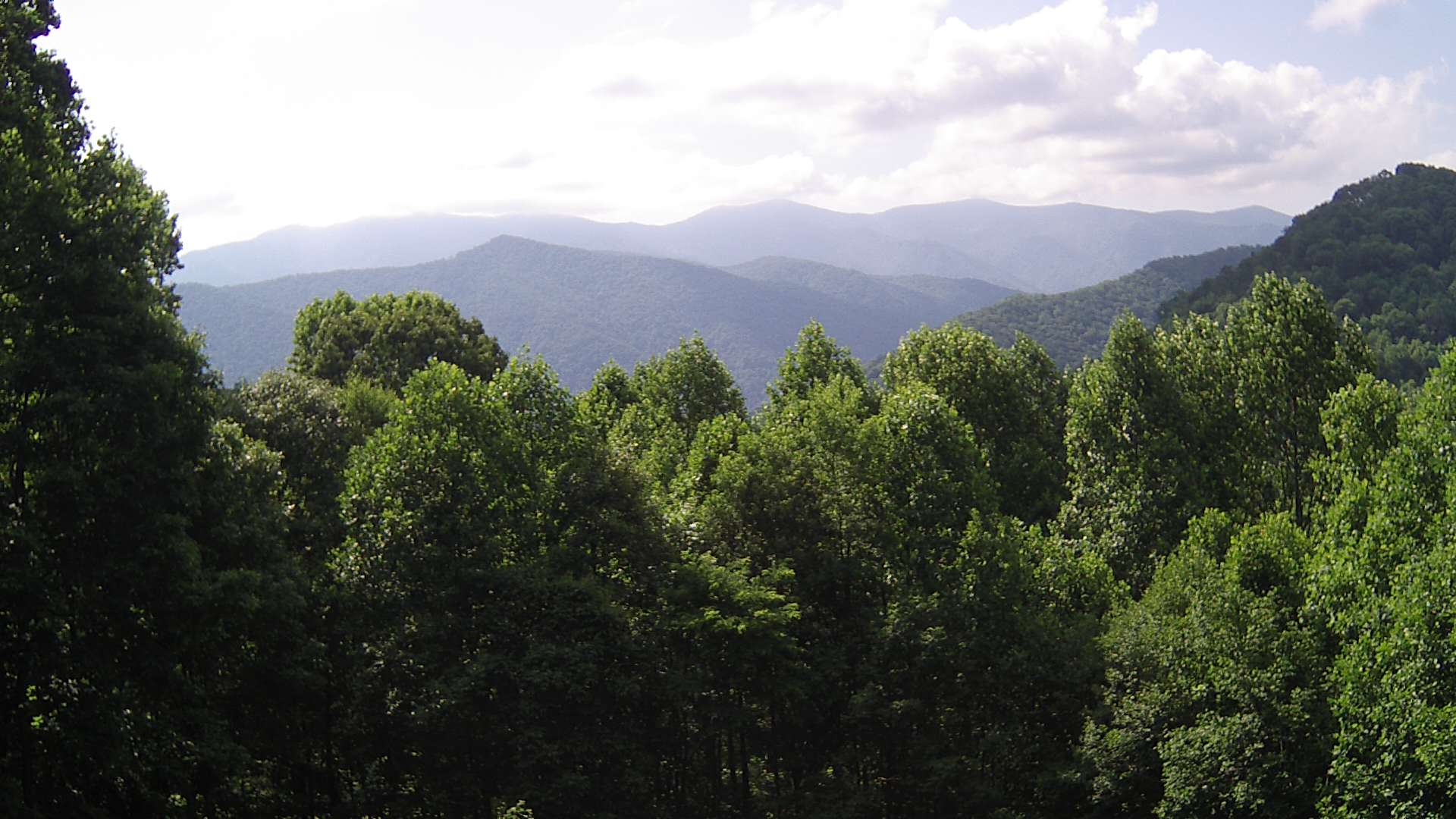 click for next image... slideshow image