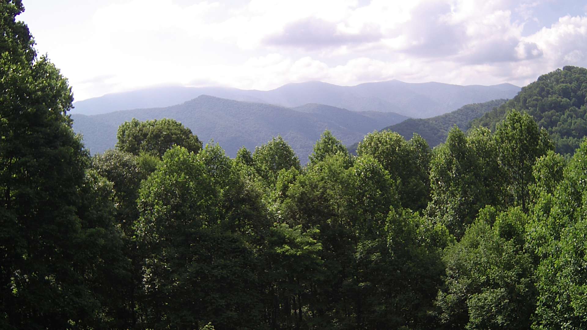 click for next image... slideshow image