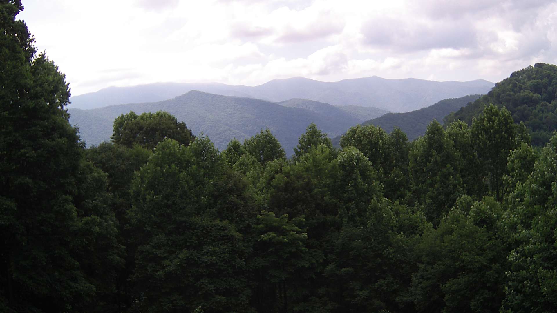 click for next image... slideshow image