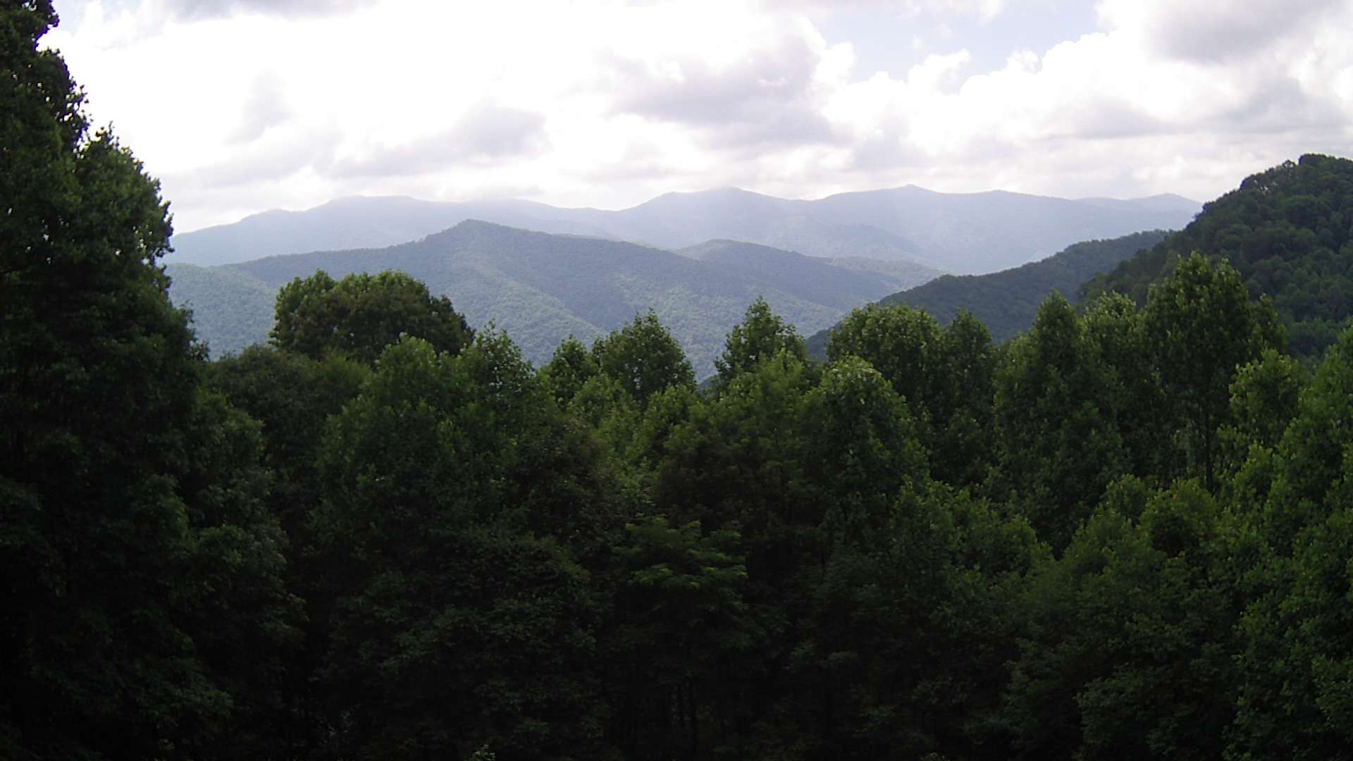 click for next image... slideshow image