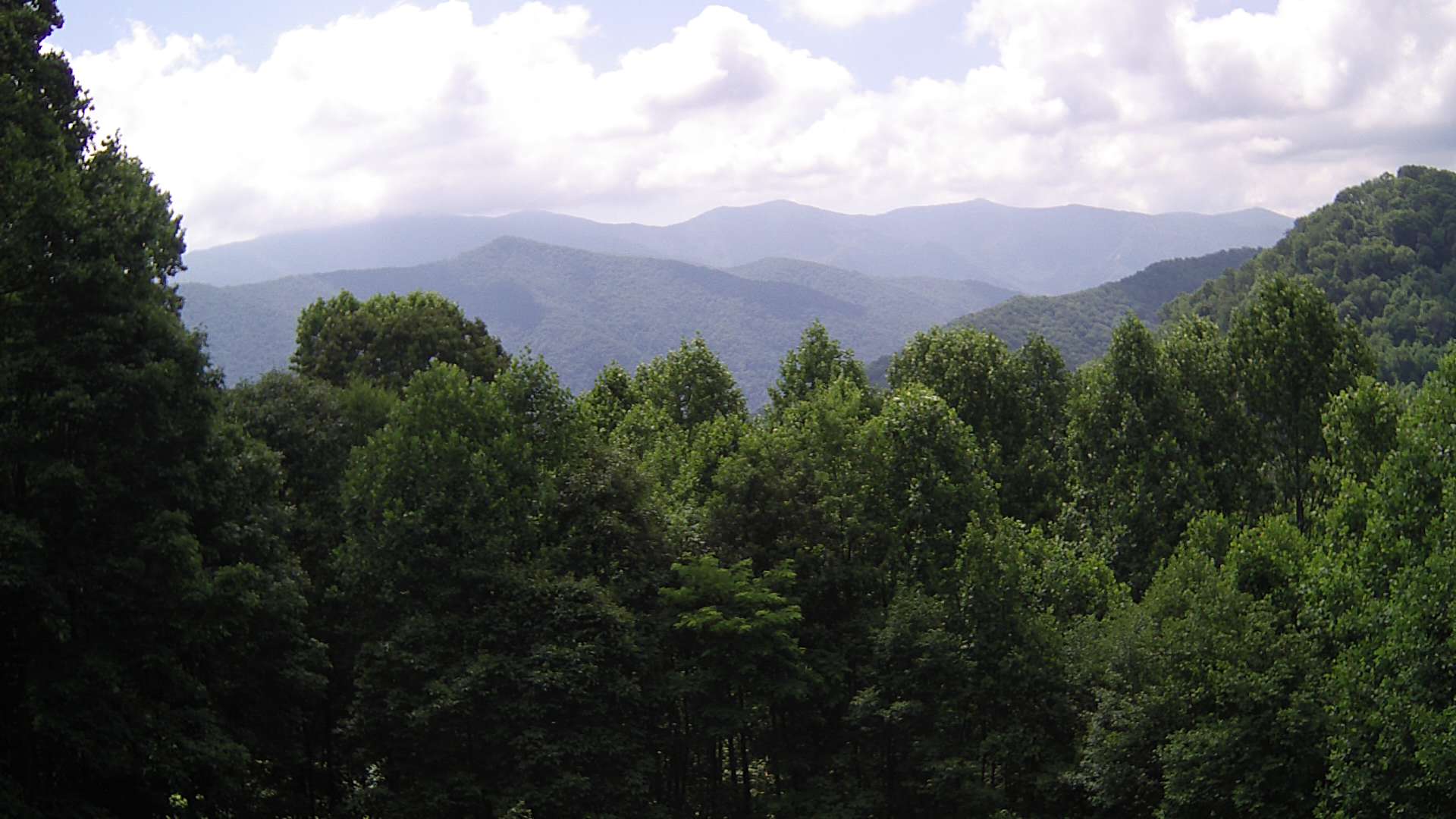 click for next image... slideshow image