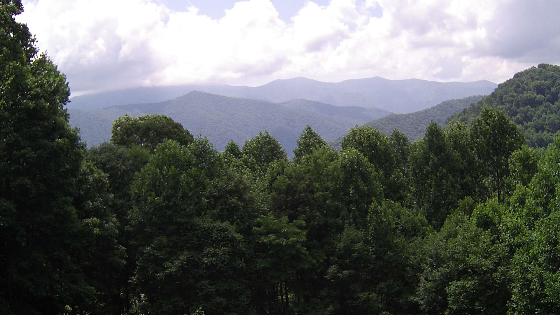 click for next image... slideshow image