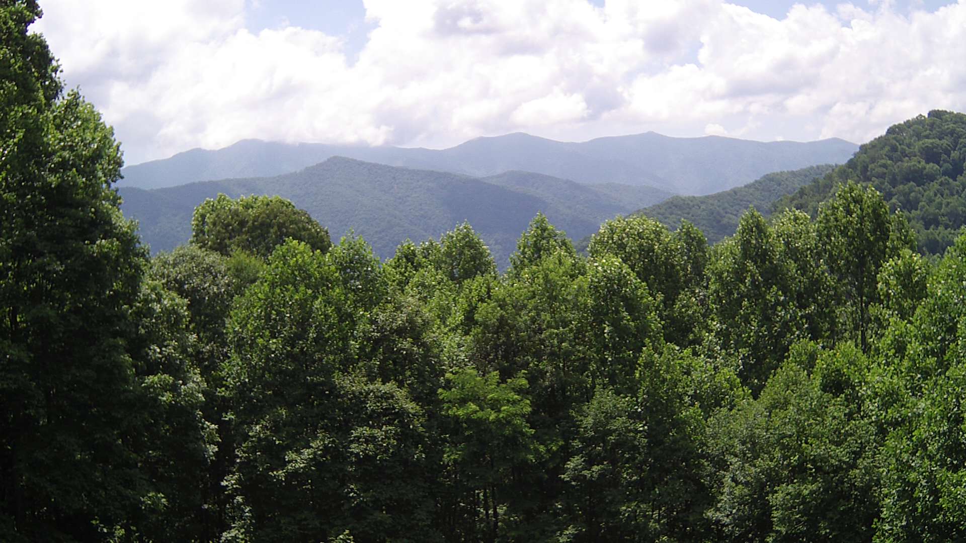 click for next image... slideshow image