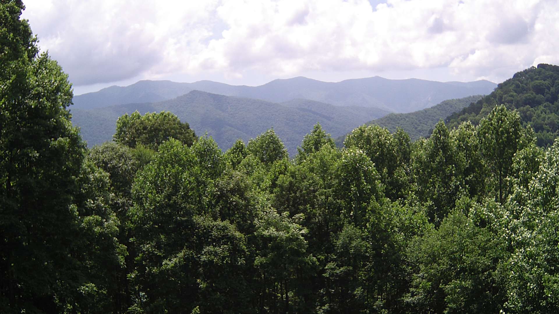 click for next image... slideshow image