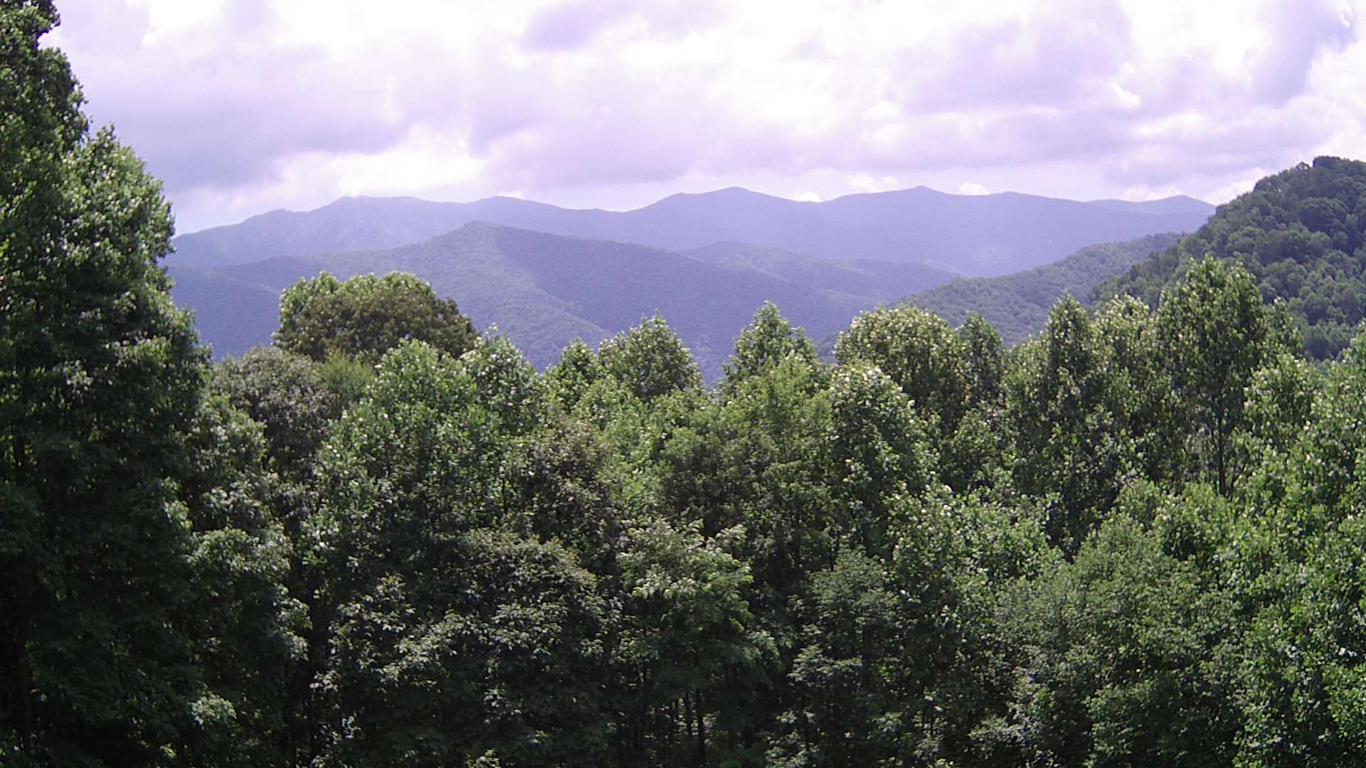 click for next image... slideshow image