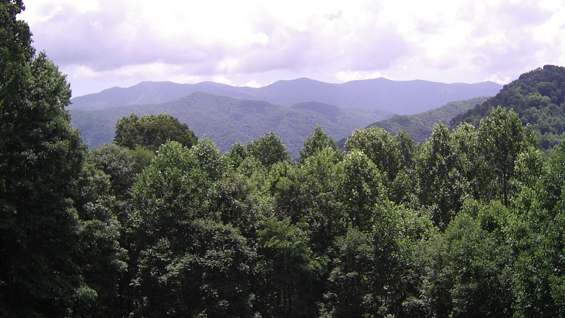 click for next image... slideshow image