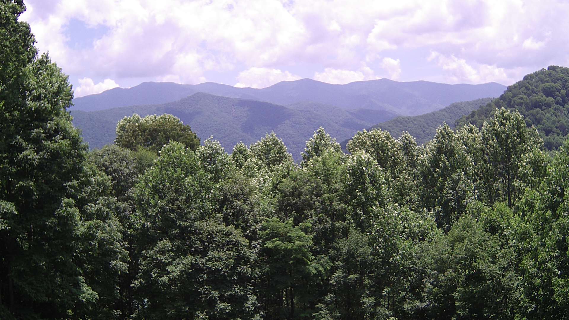 click for next image... slideshow image