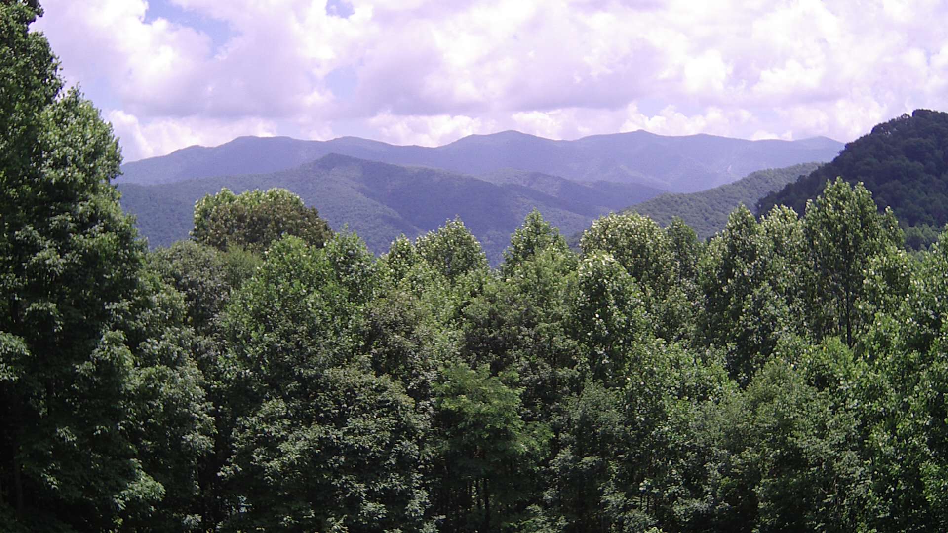 click for next image... slideshow image