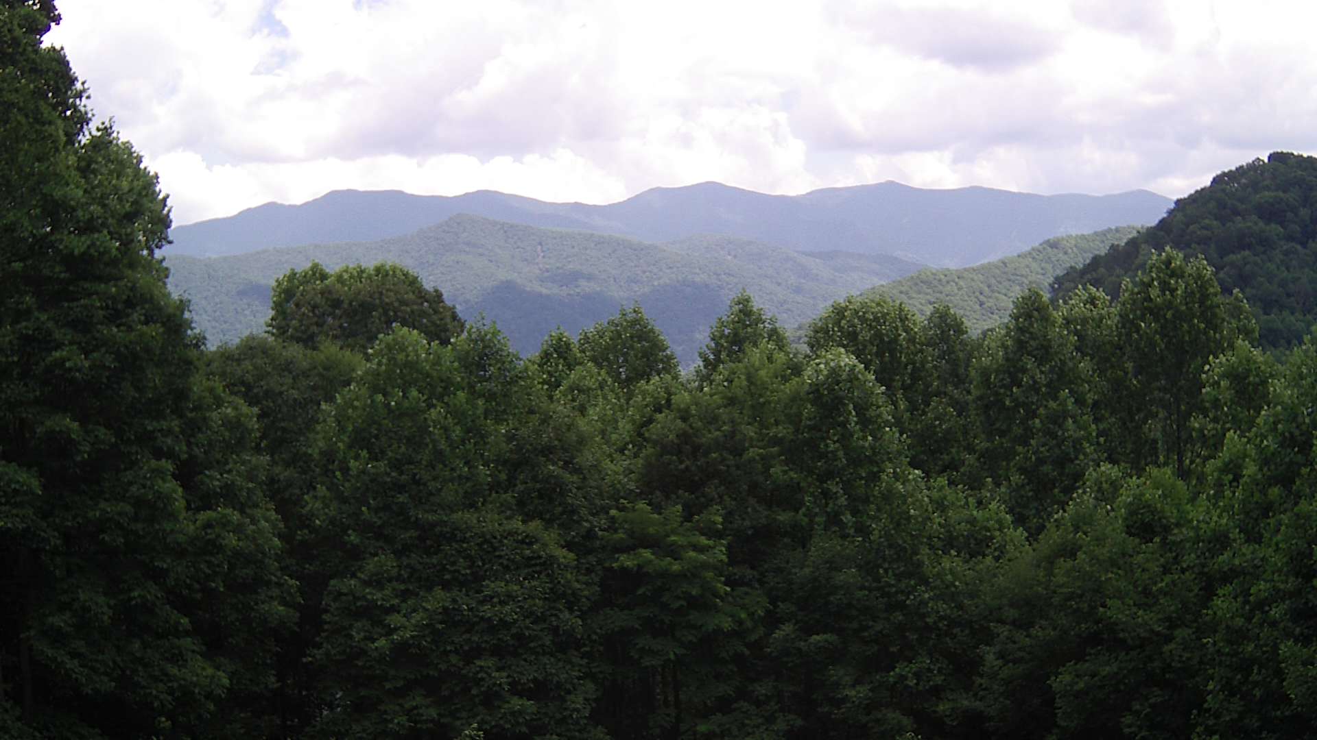 click for next image... slideshow image