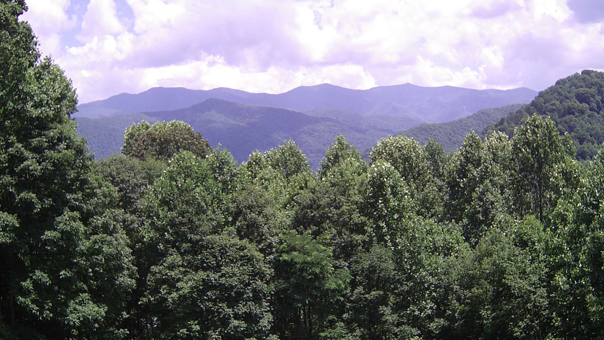 click for next image... slideshow image