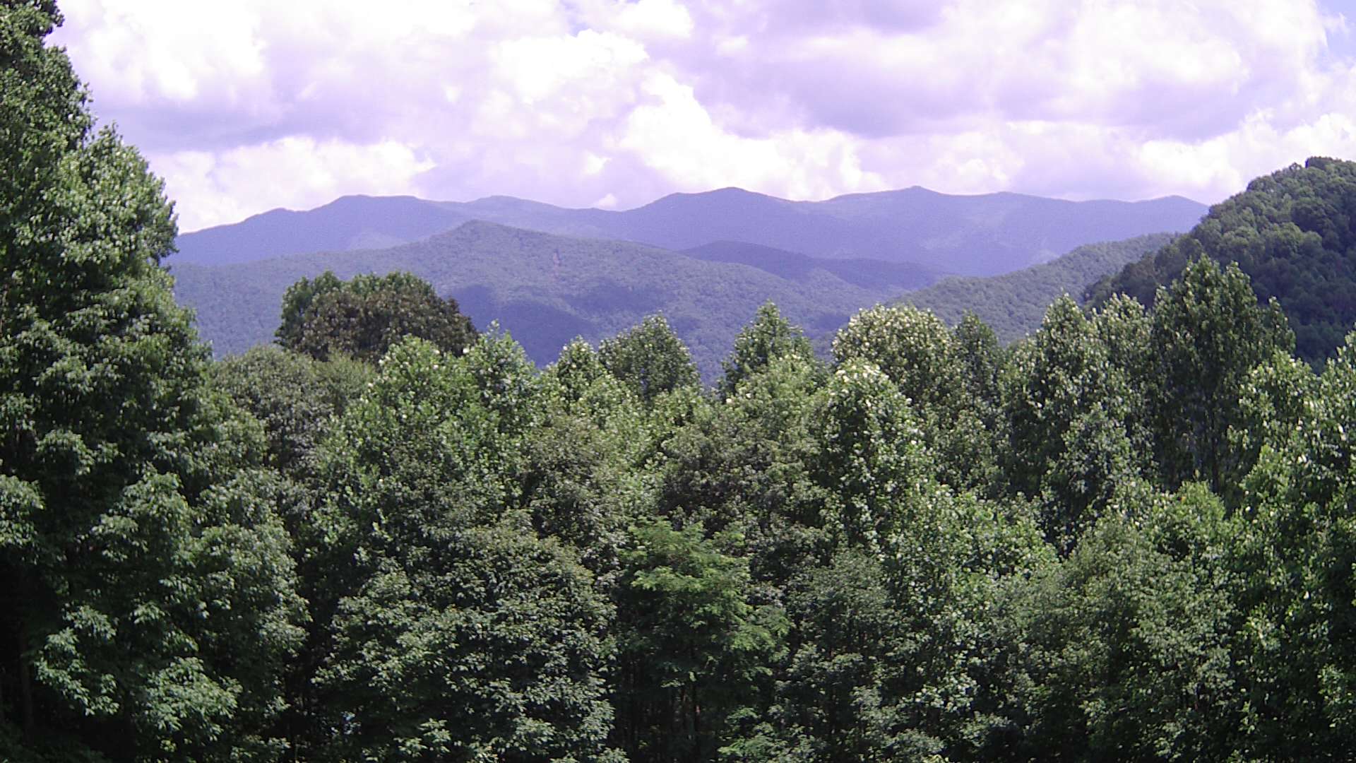 click for next image... slideshow image