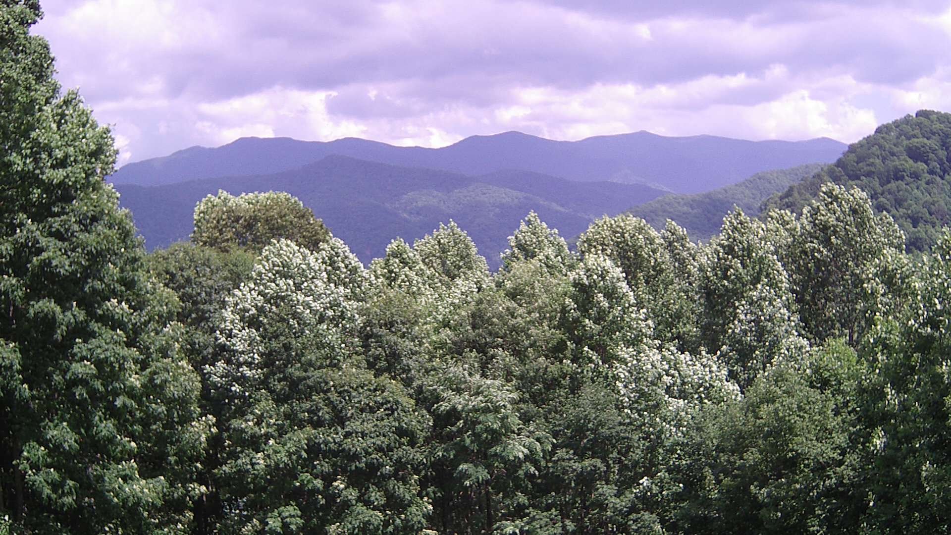 click for next image... slideshow image