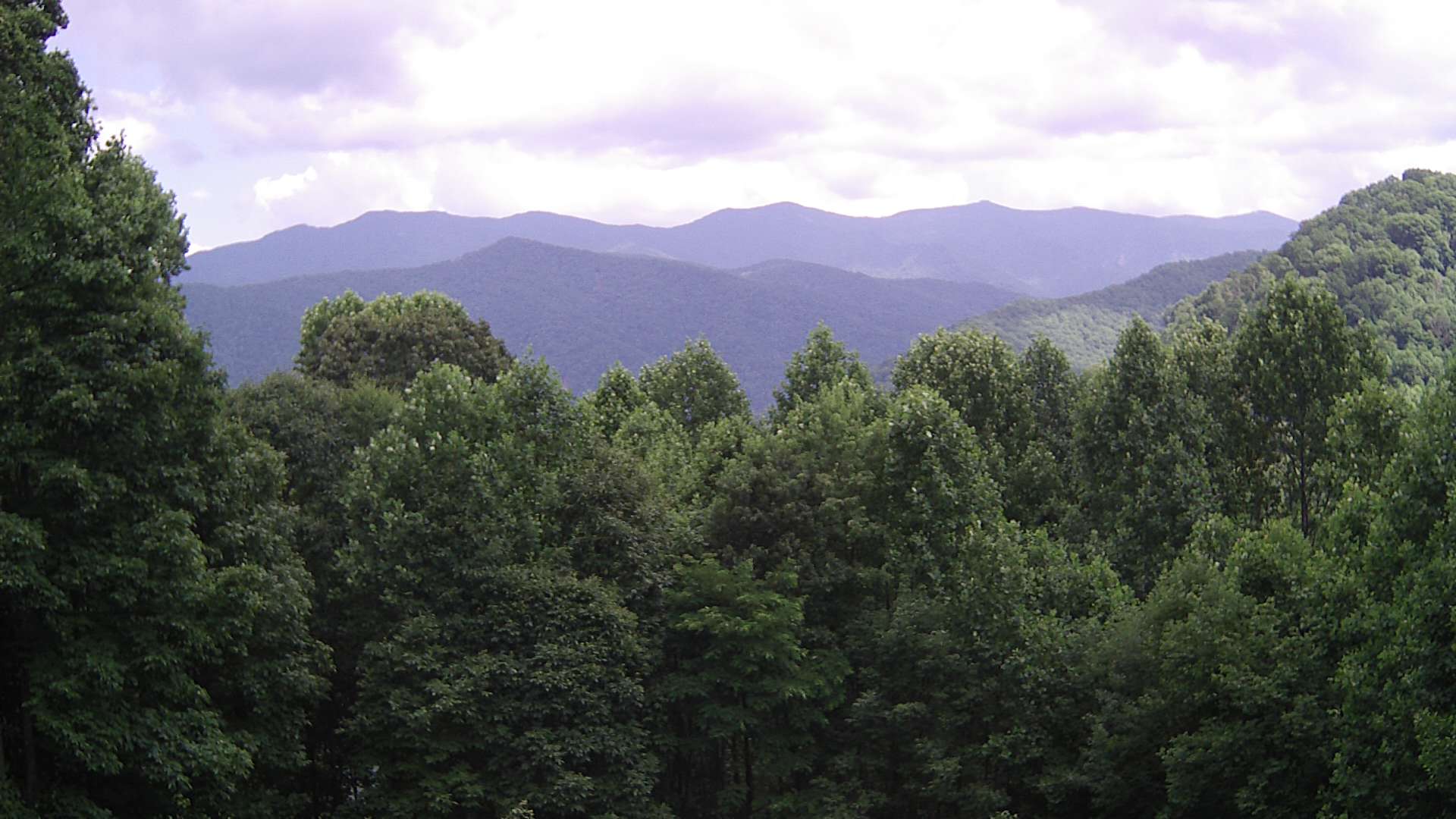 click for next image... slideshow image