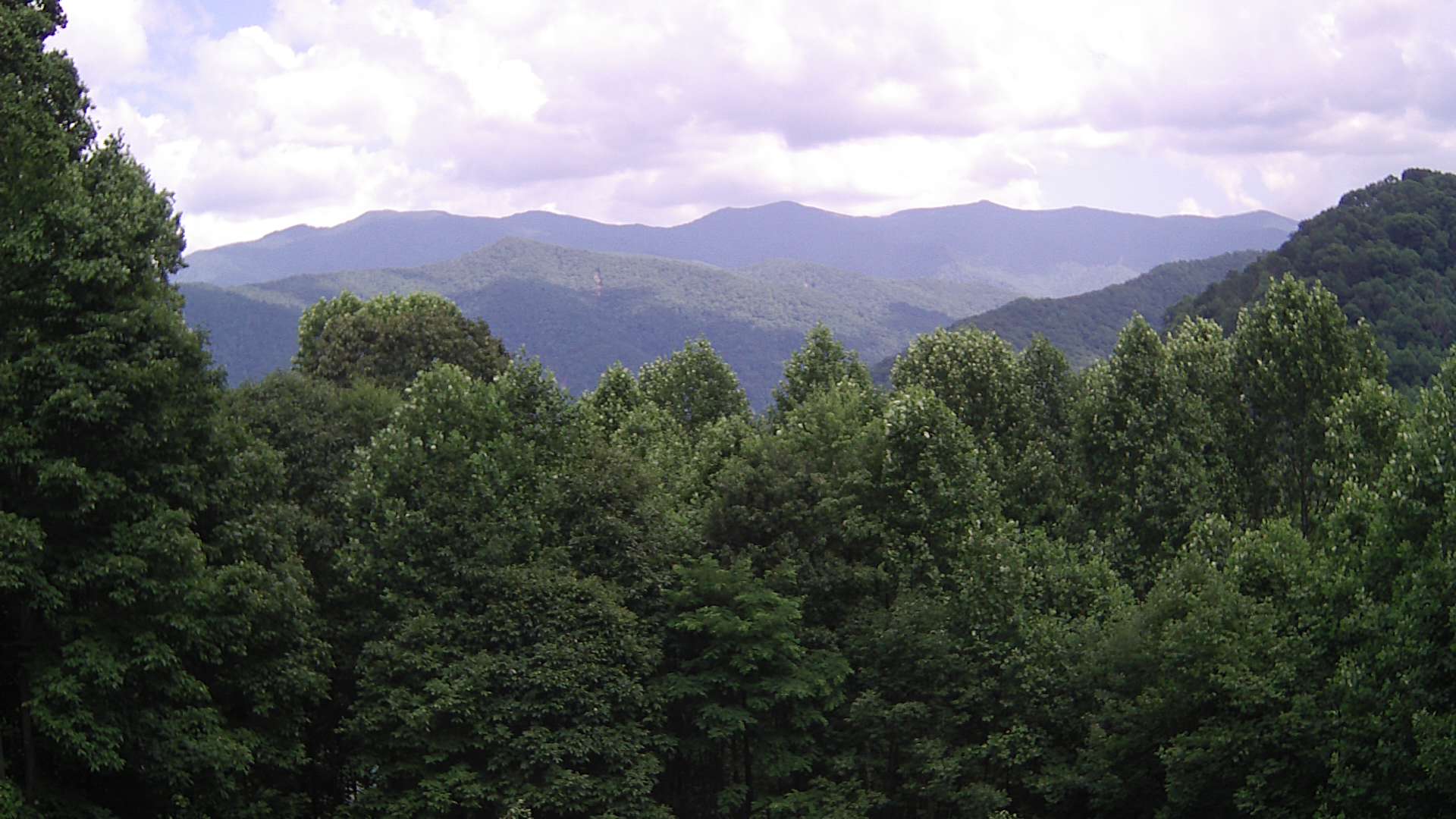 click for next image... slideshow image