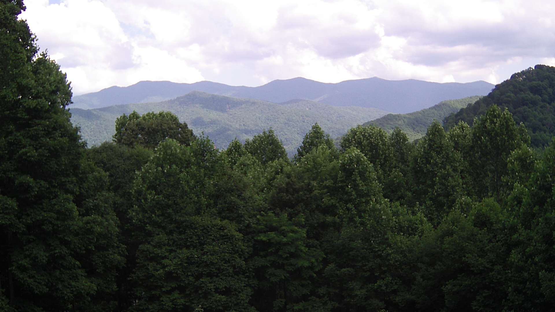 click for next image... slideshow image