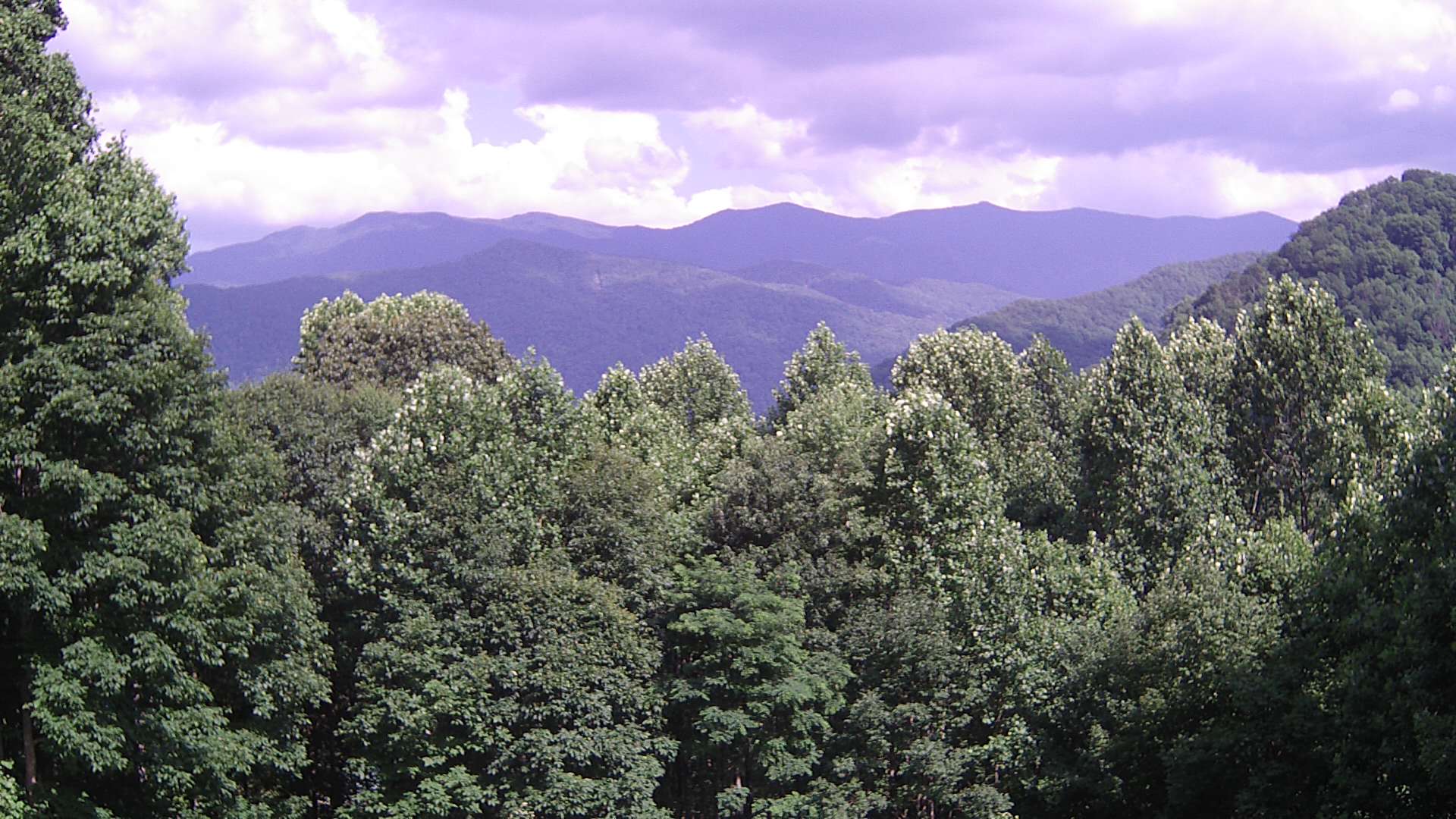 click for next image... slideshow image