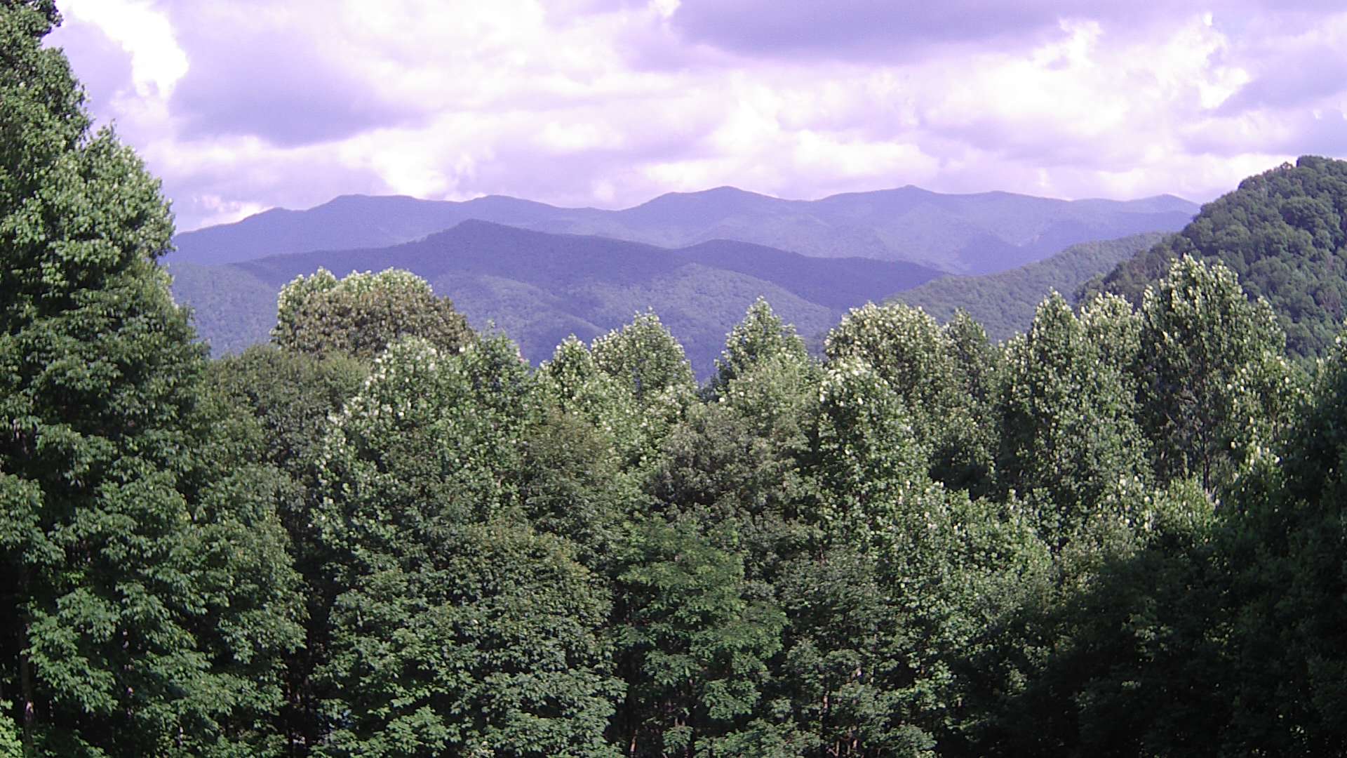 click for next image... slideshow image