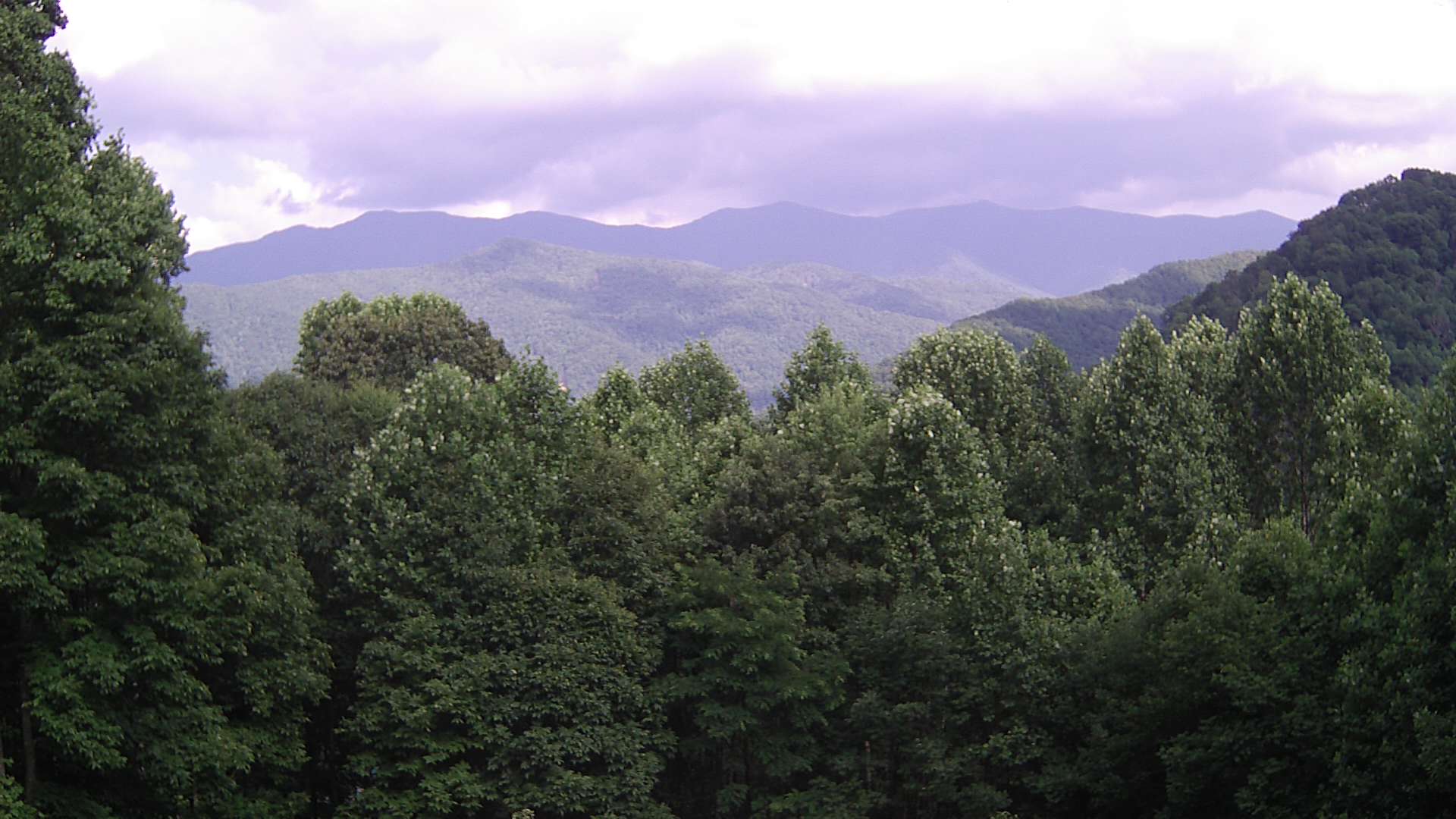 click for next image... slideshow image