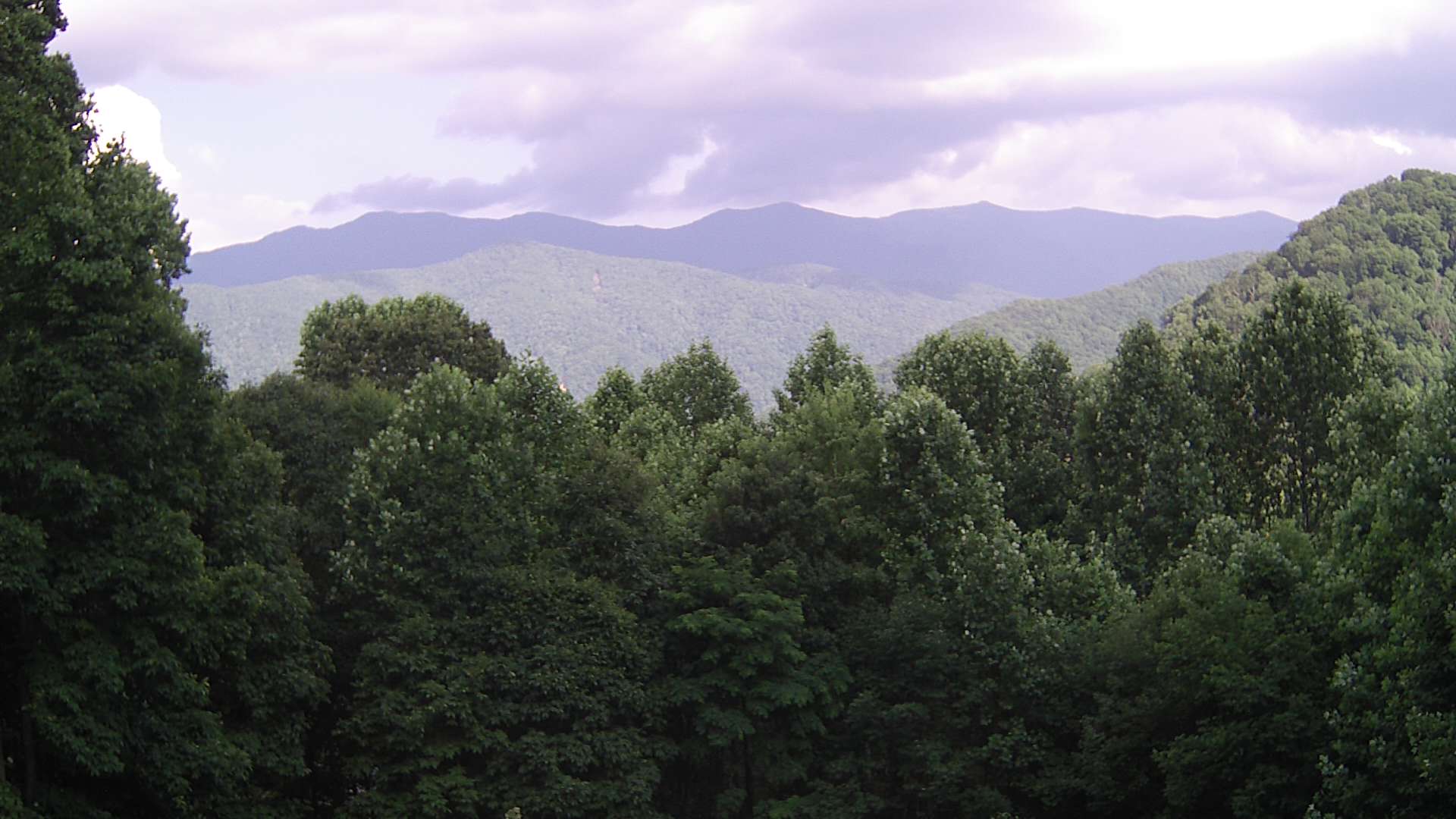 click for next image... slideshow image