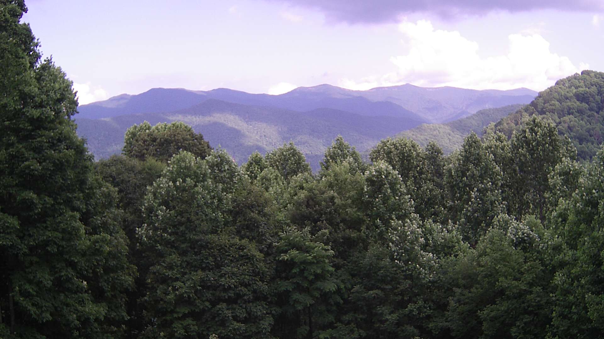 click for next image... slideshow image