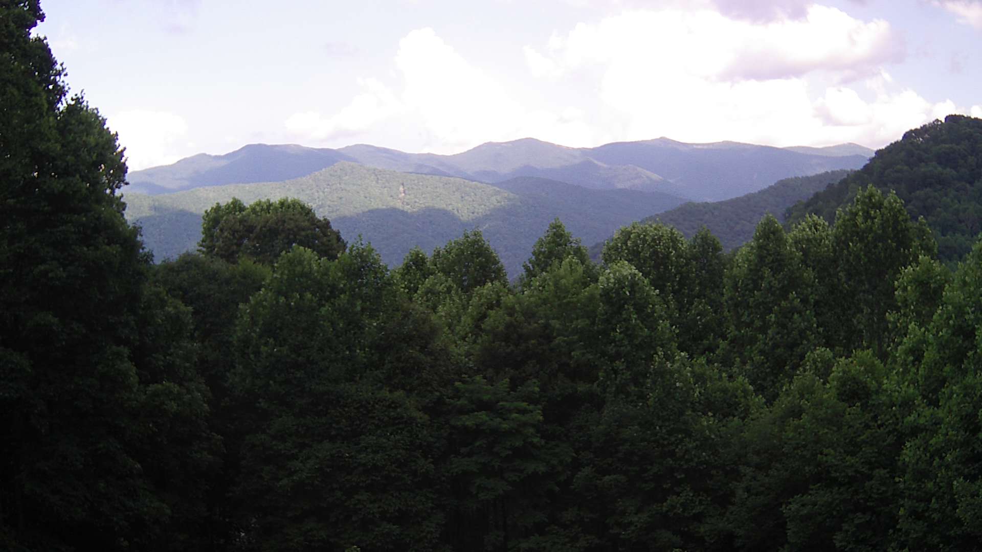 click for next image... slideshow image