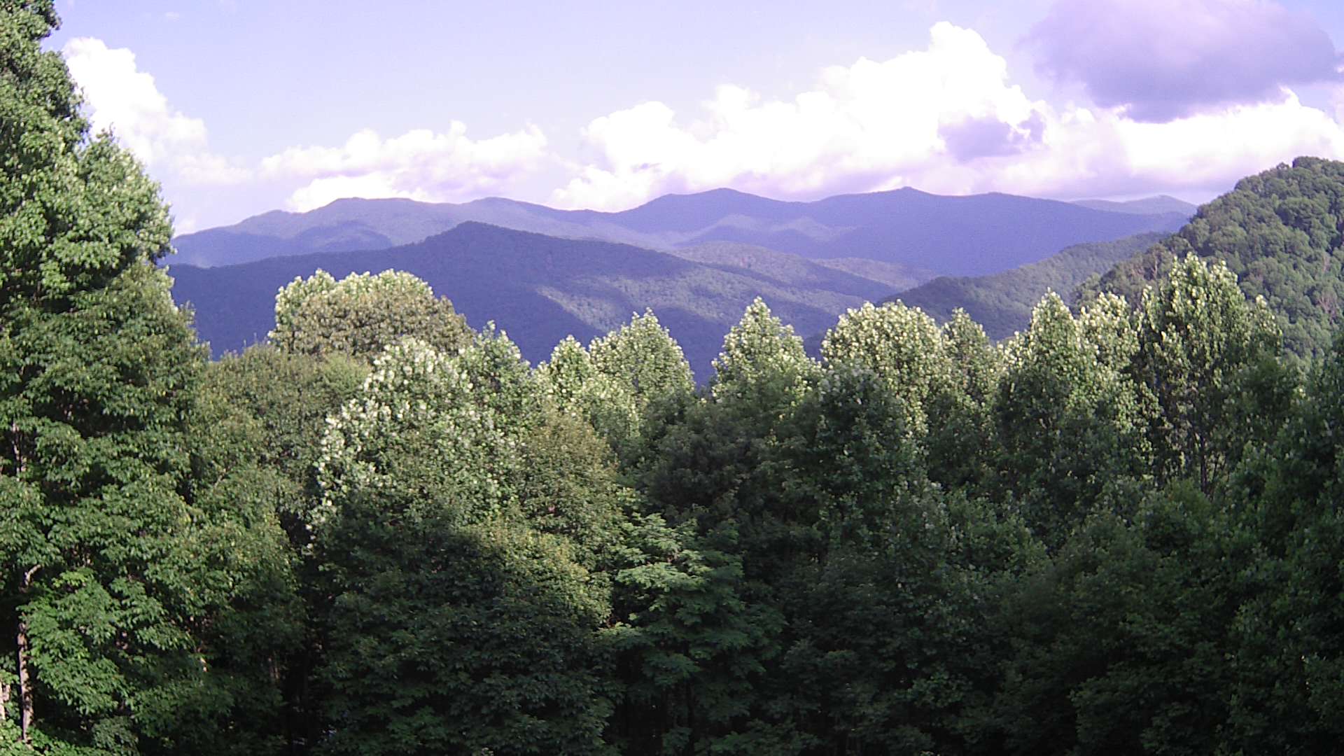 click for next image... slideshow image