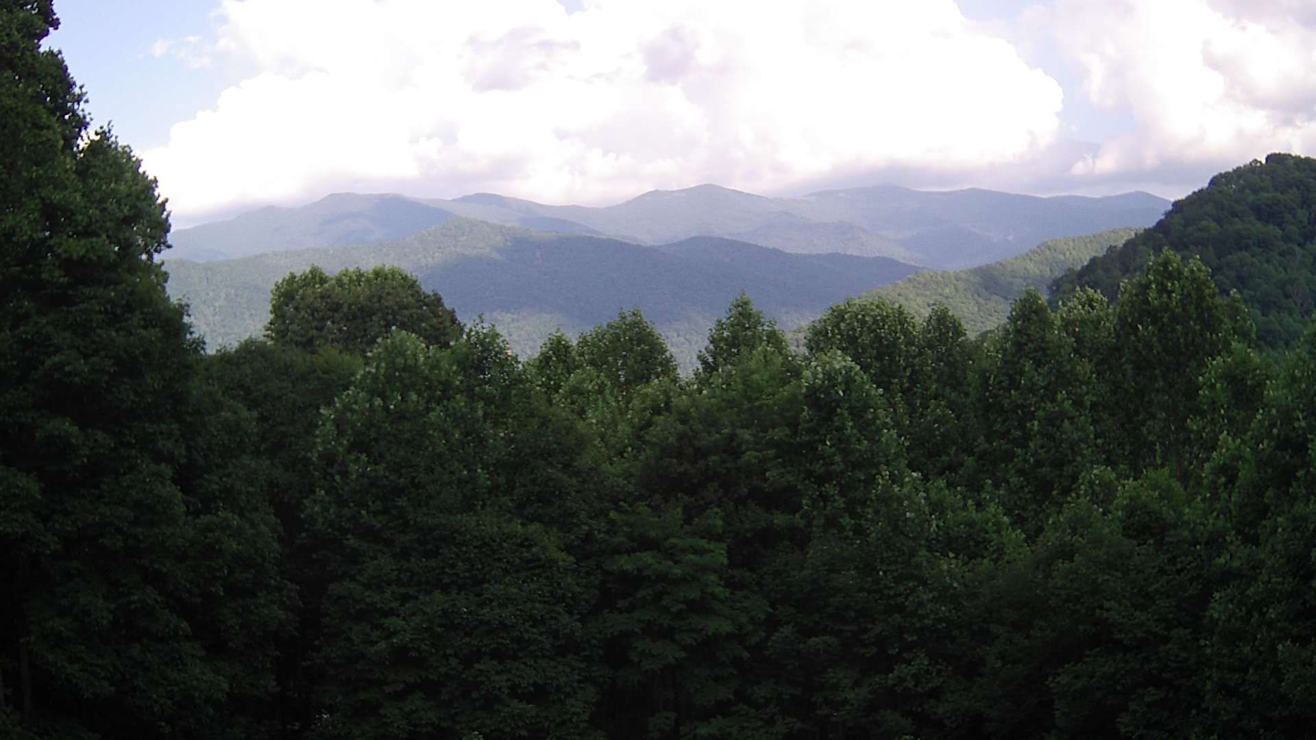 click for next image... slideshow image